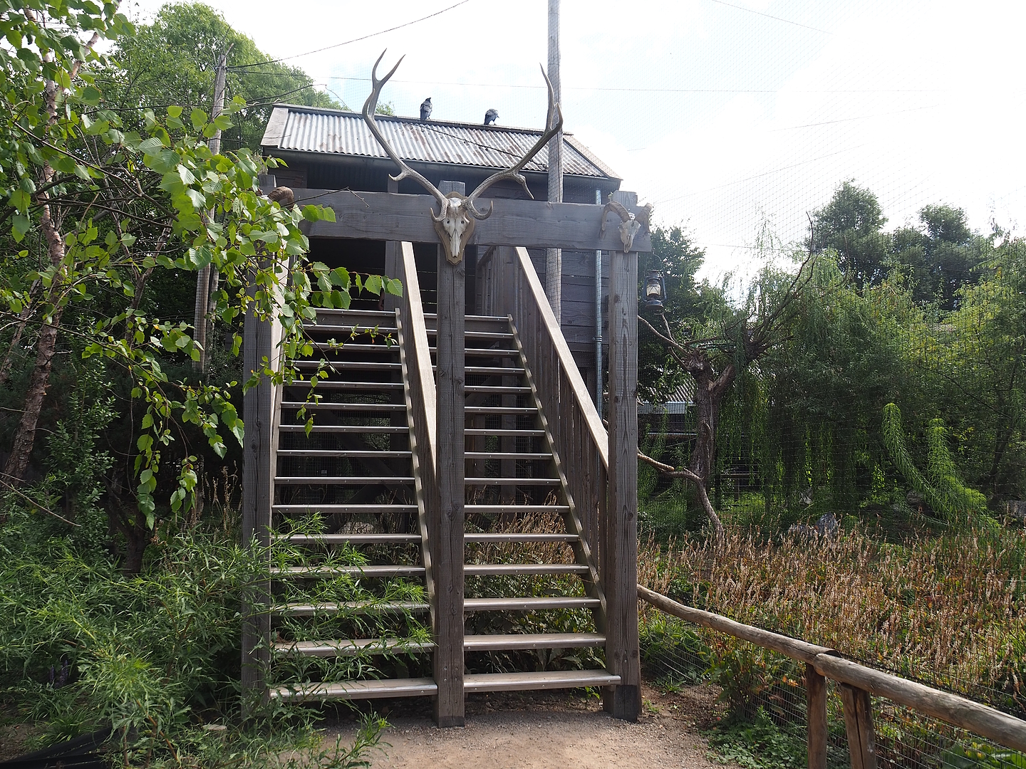 Hunting cabin-themed viewing area for Steller's sea eagle, Common raven and Common black kite aviary, 2022-08-28