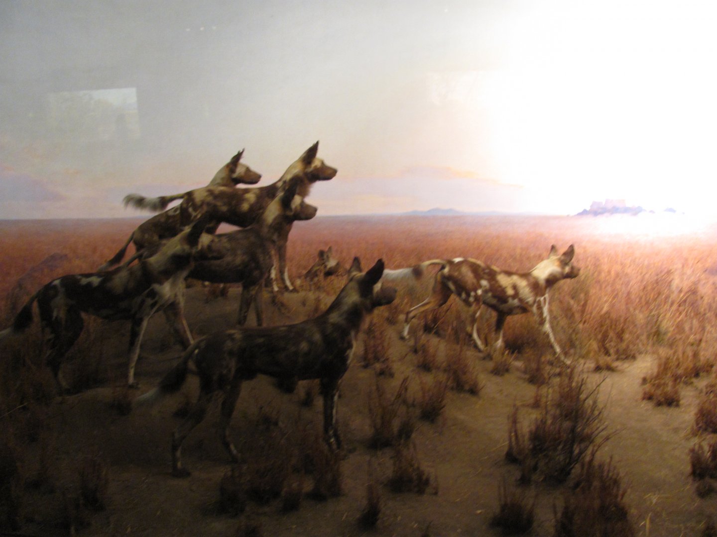 Hunting Dog Diorama