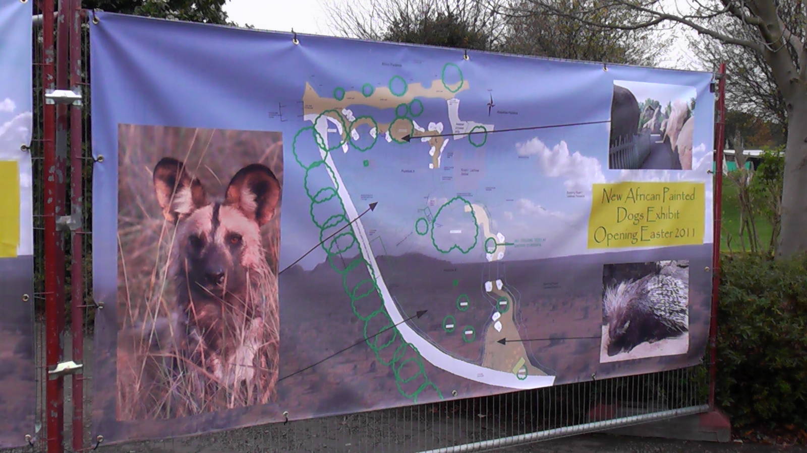 Hunting Dog Enclosure Plans - 31.10.2010