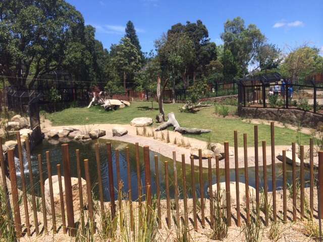 Hunting. Dog exhibit