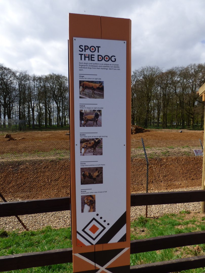 Hunting Dog Indentification