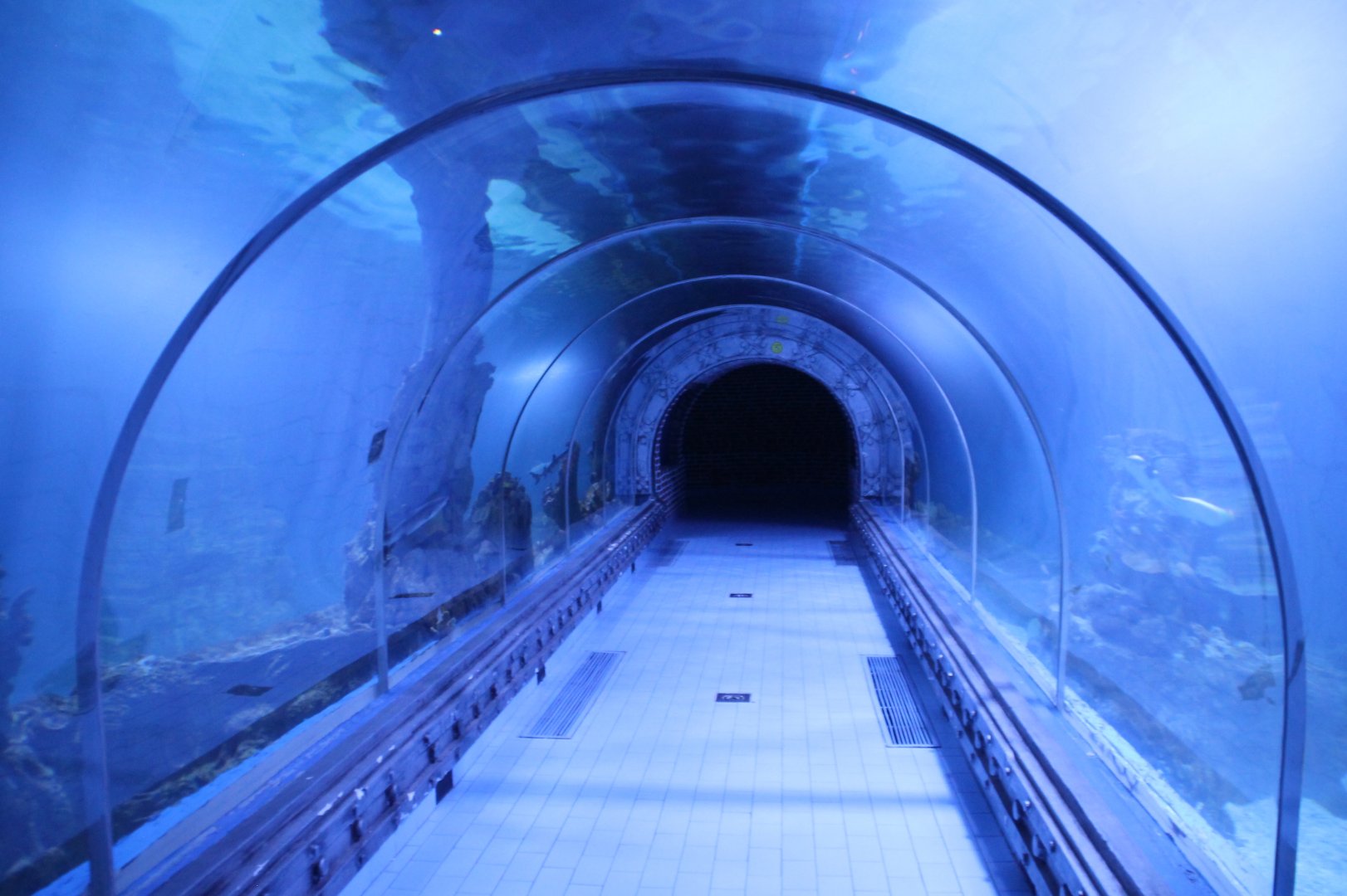 Hurghada Grand  Aquarium - Glass walkthrough tunnel