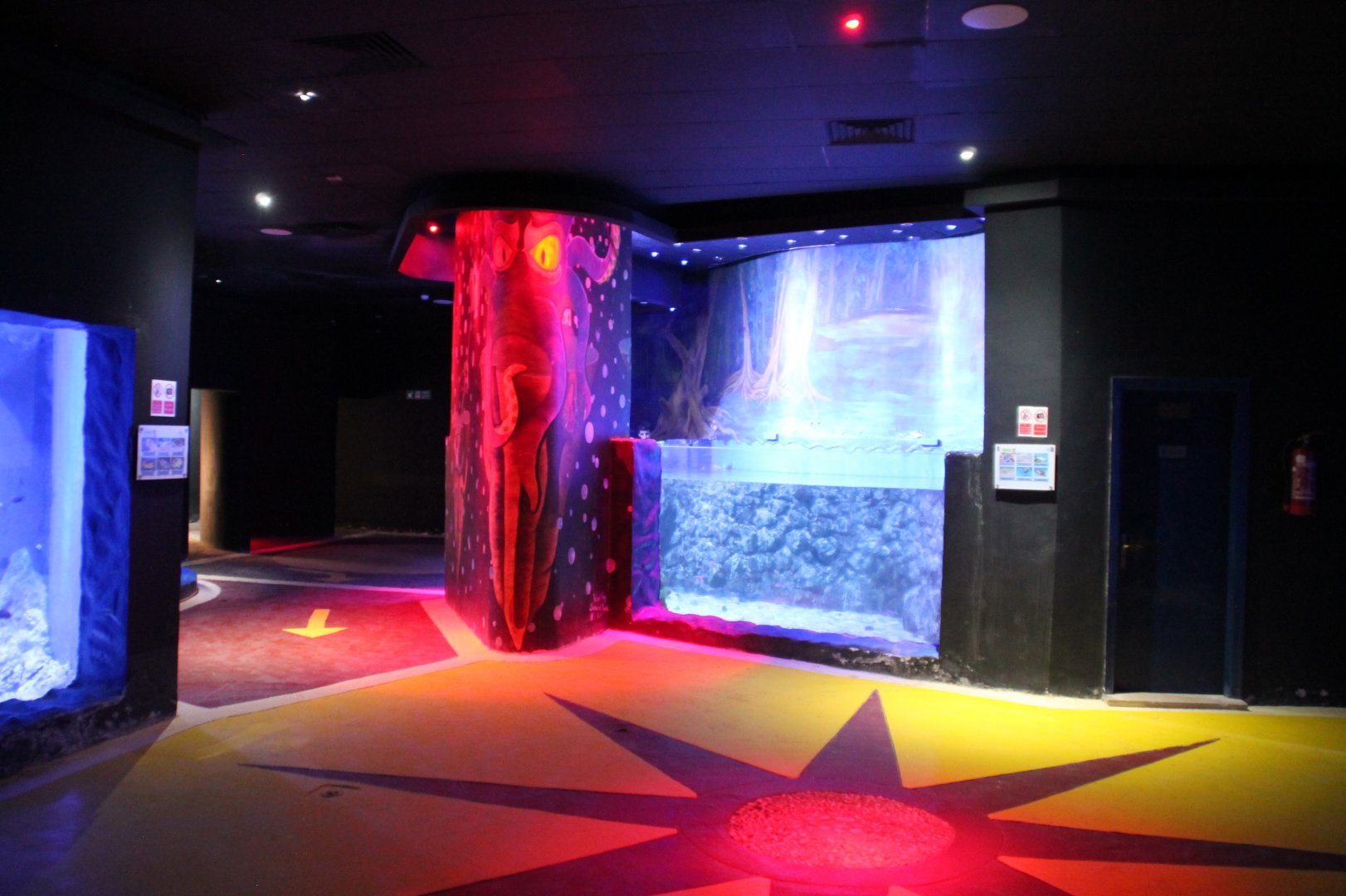 Hurghada Grand Aquarium - Green sea turtle tank