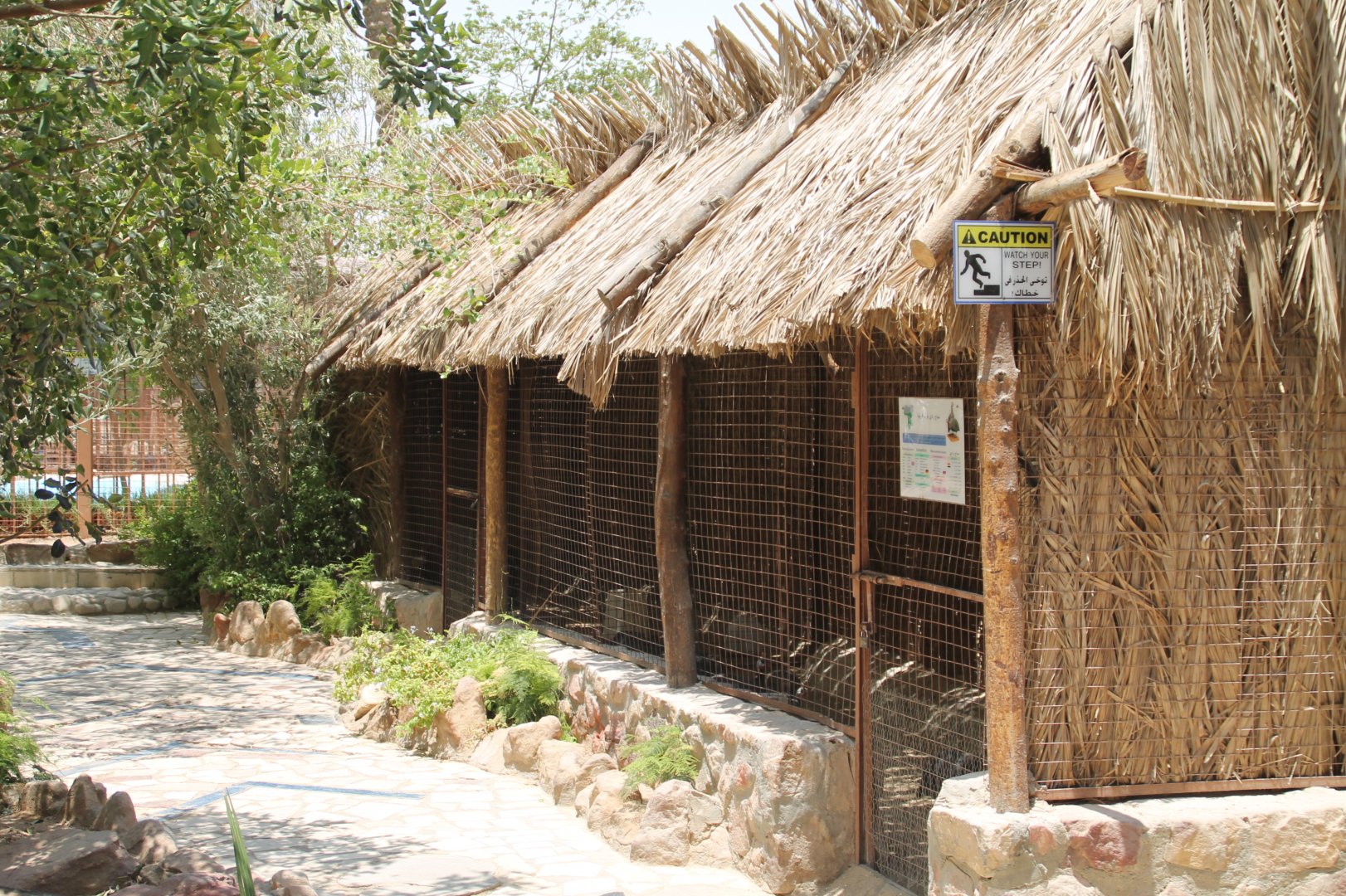 Hurghada Grand Aquarium - Helmeted guineafowl exhibit