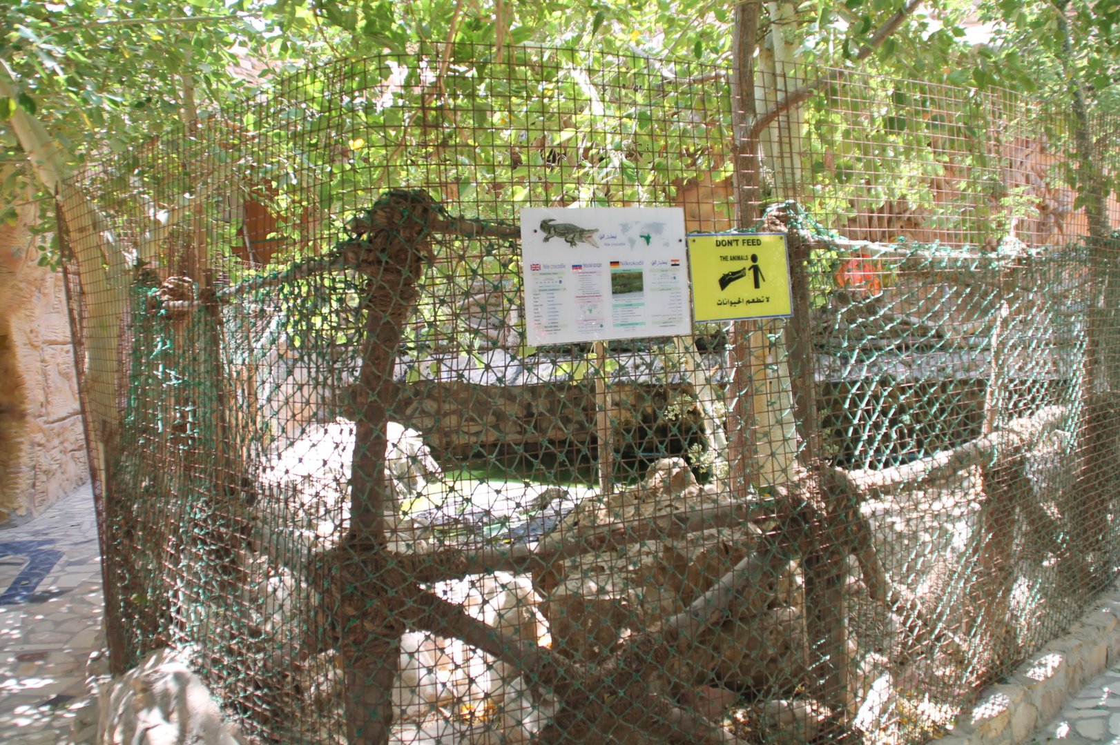Hurghada Grand Aquarium - Nile crocodile exhibit