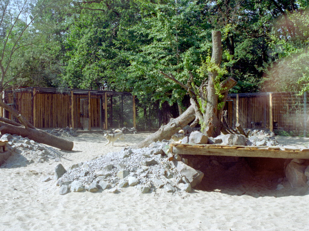 Husky Paddock at Magdeburg 09/09/2005