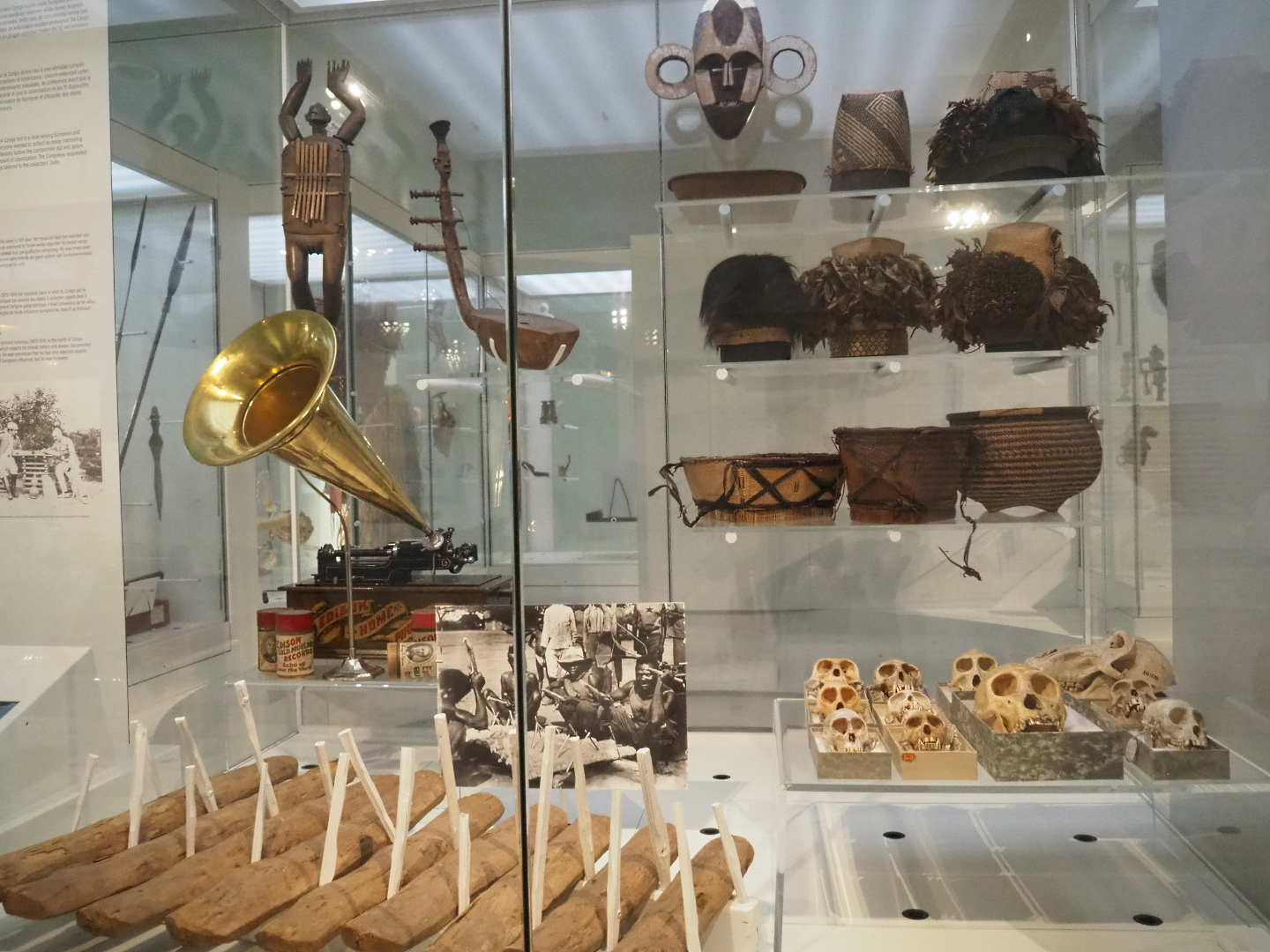 Hutereau expedition (1911-1913) objects and specimens display, 2021-10-20