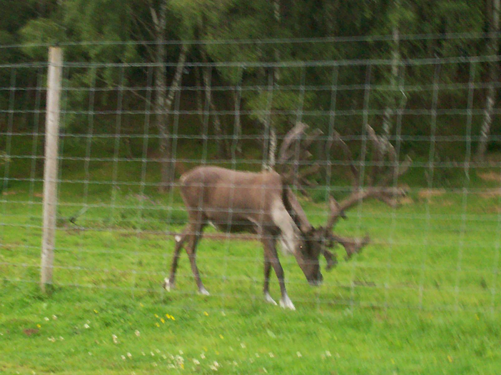 HWP visit 04/08/2011