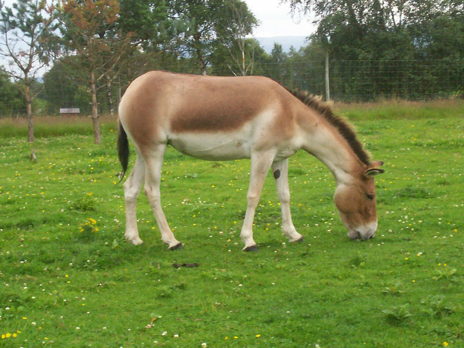 HWP visit 04/08/2011