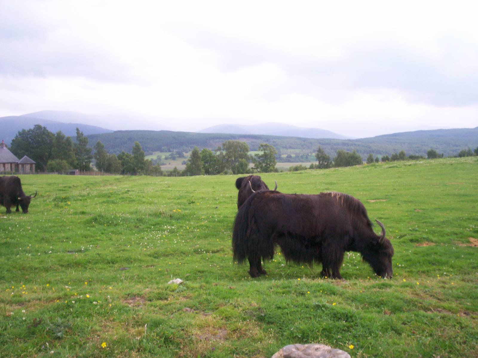 HWP visit 04/08/2011