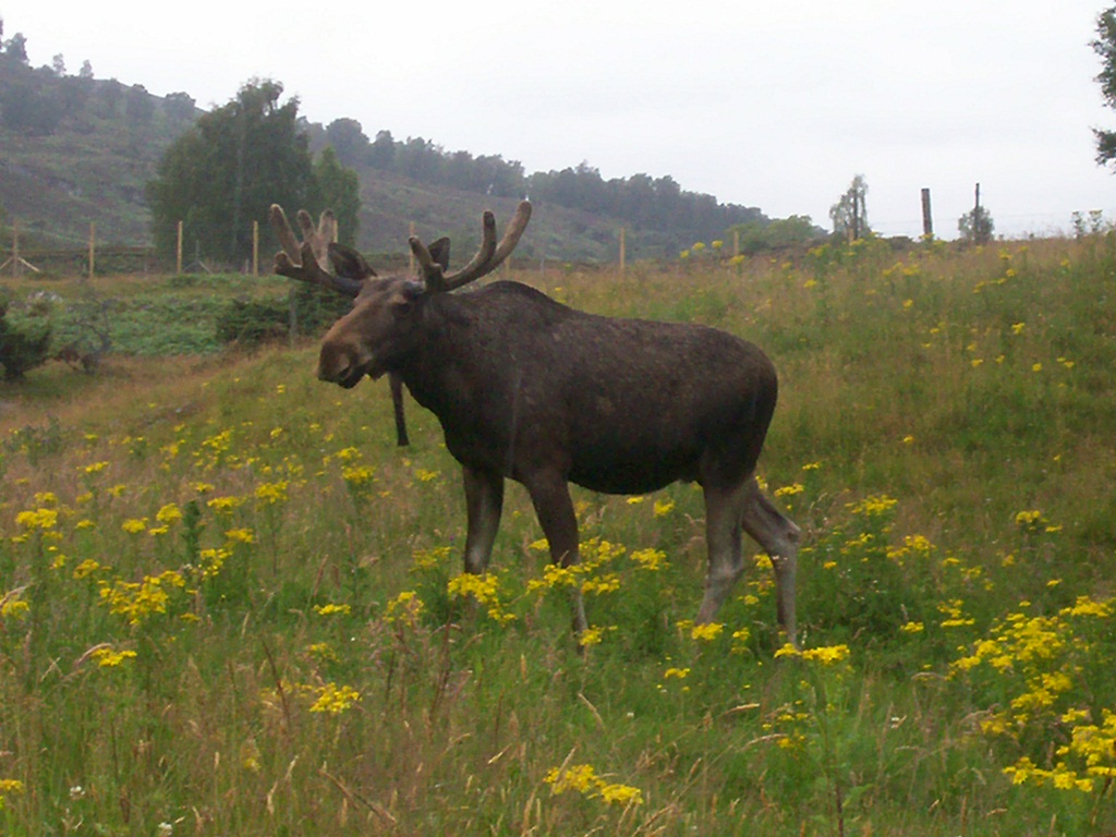 HWP visit 04/08/2011