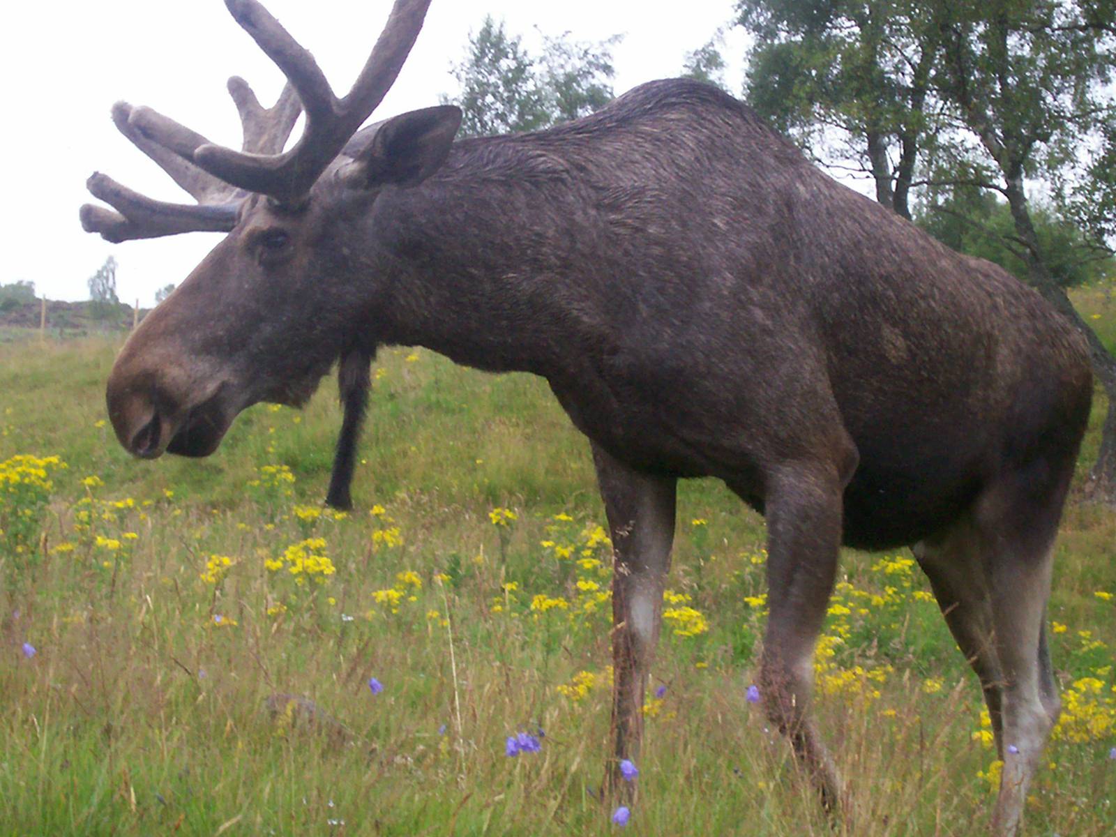 HWP visit 04/08/2011