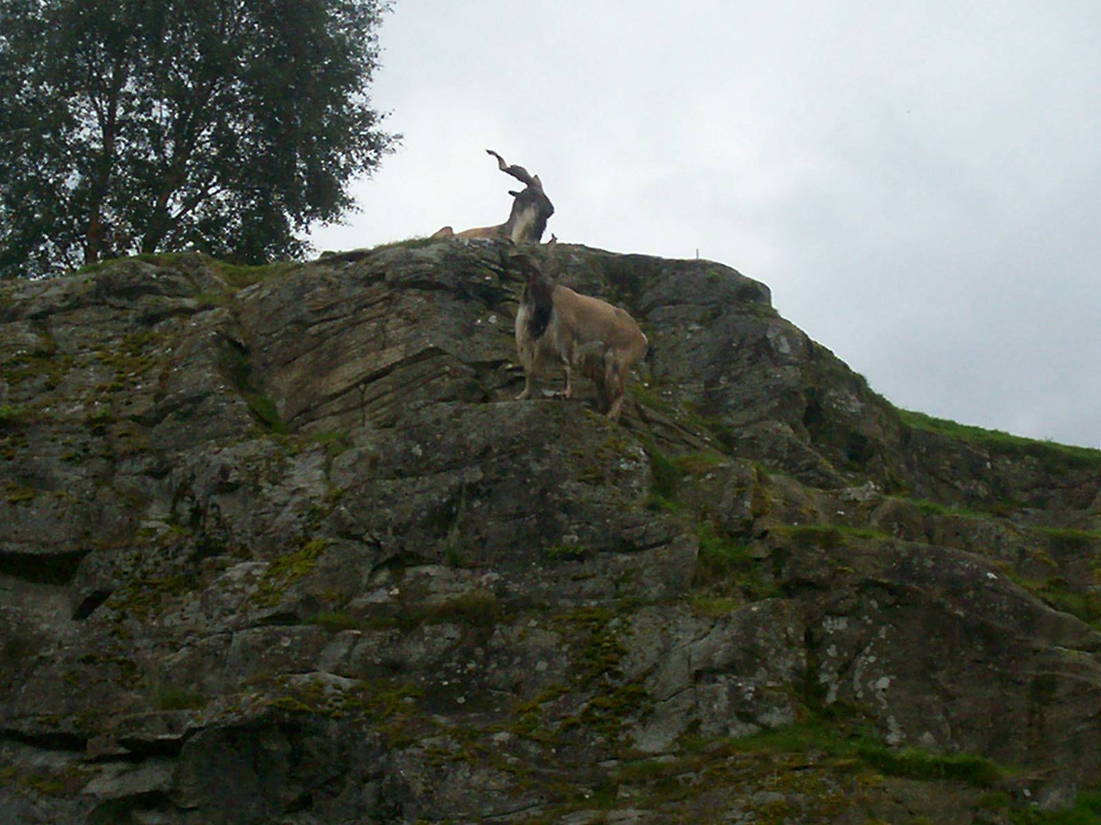 HWP visit 04/08/2011