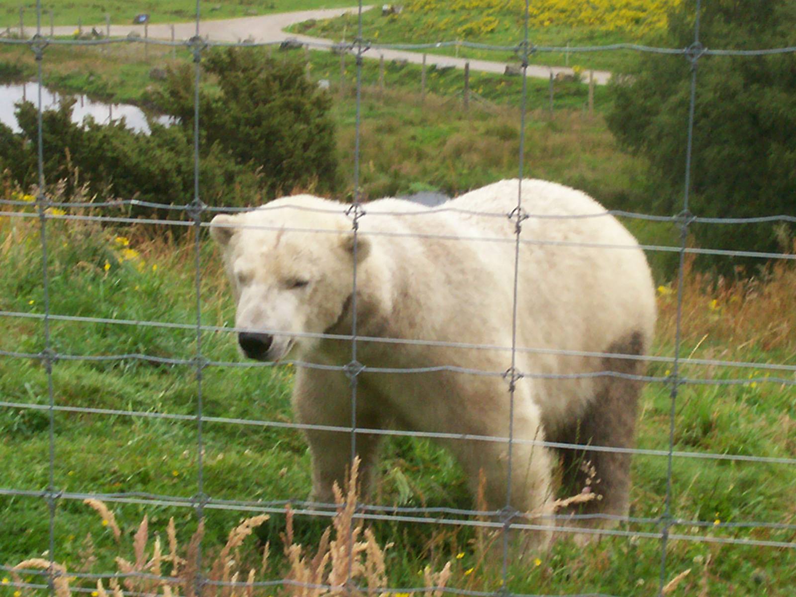 HWP visit 04/08/2011