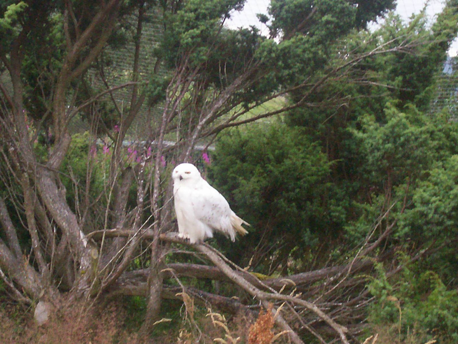 HWP visit 04/08/2011