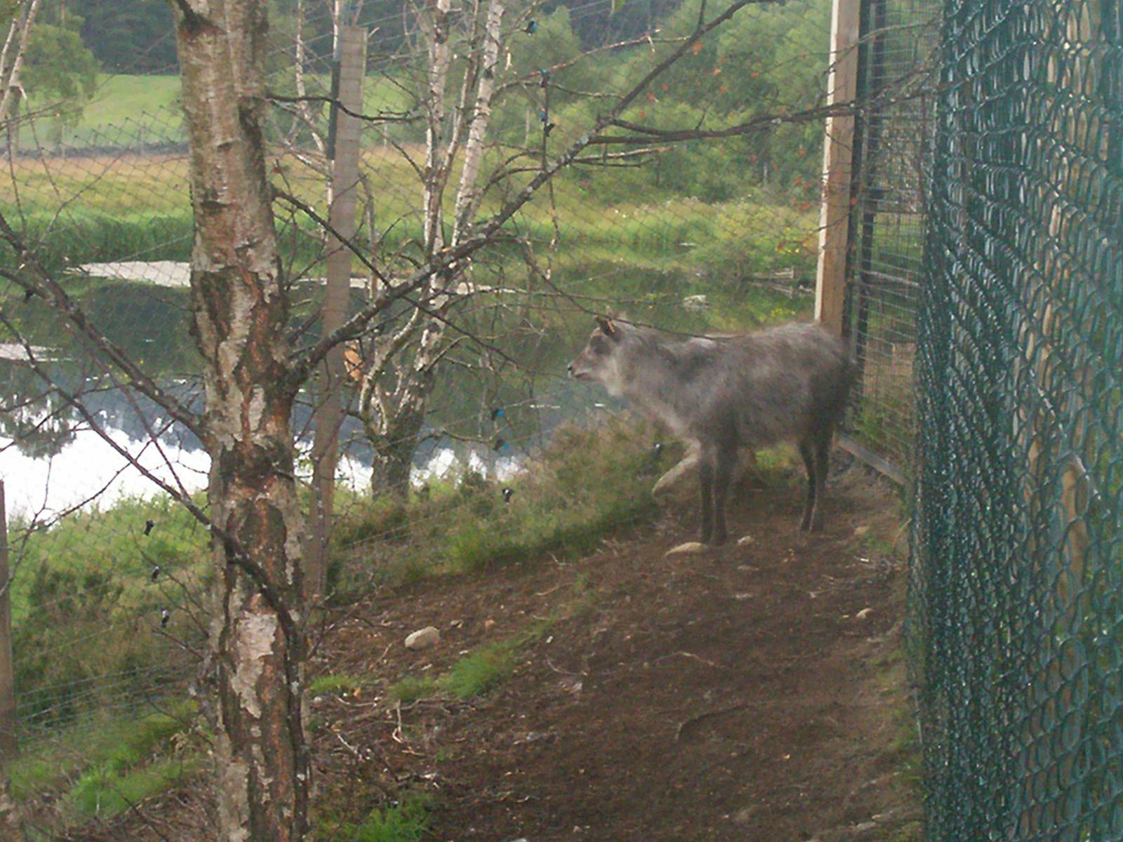 HWP visit 04/08/2011