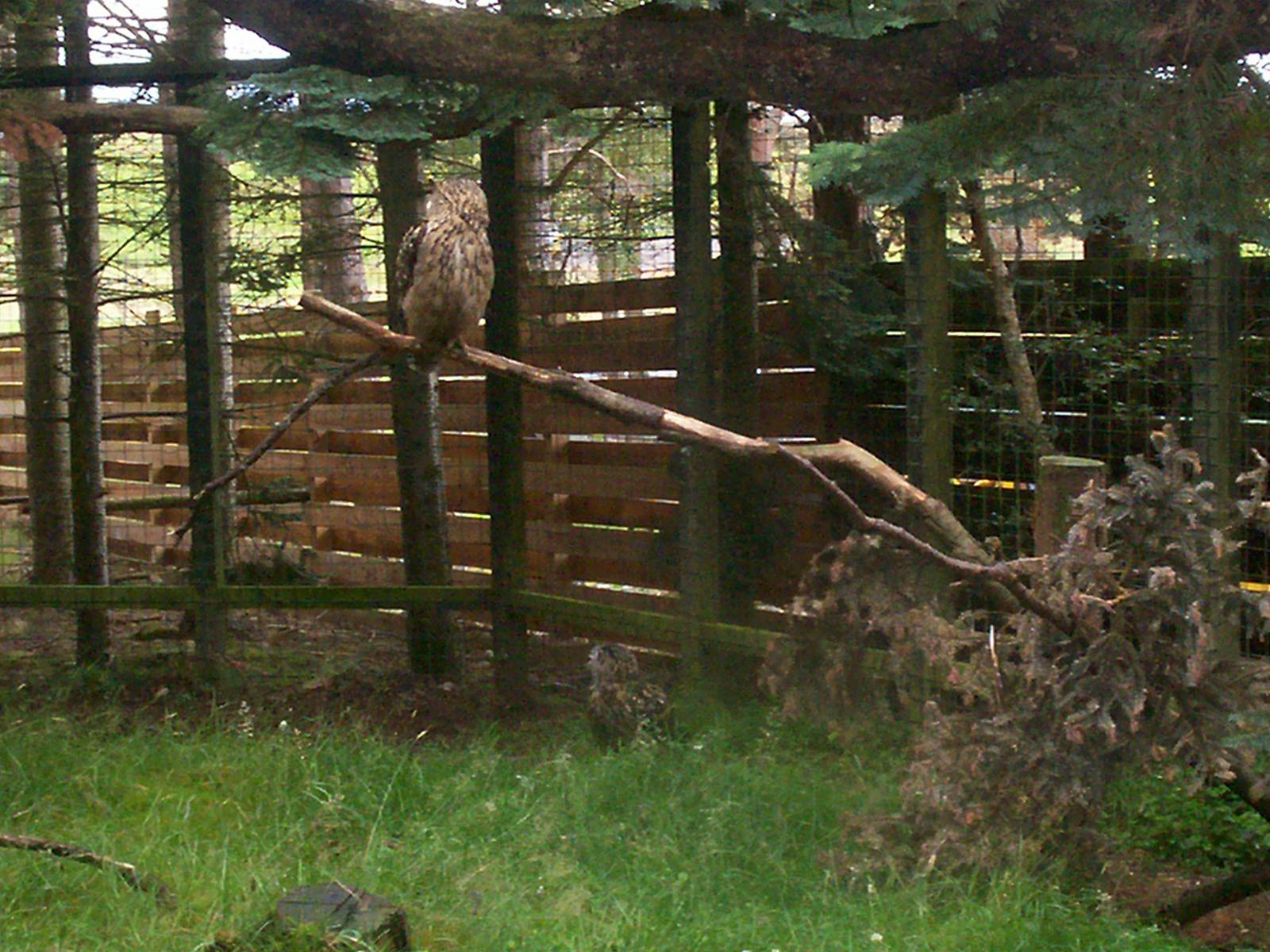 HWP visit 04/08/2011