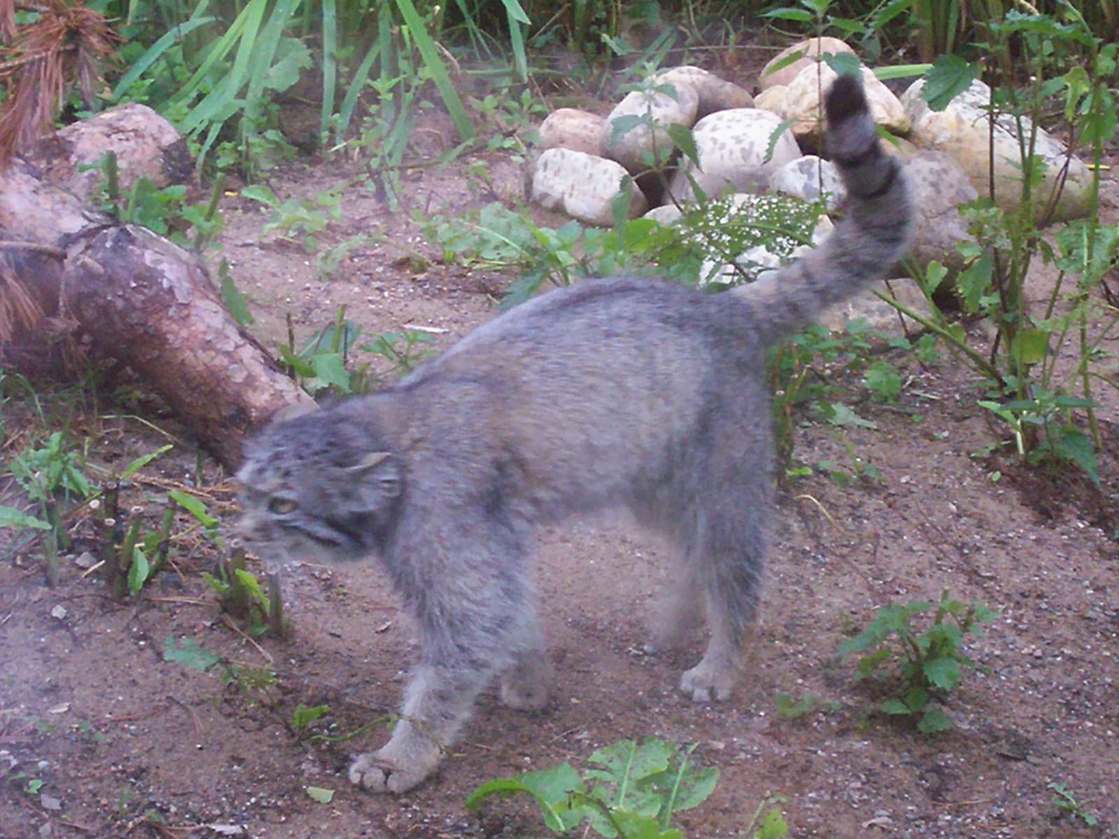 HWP visit 04/08/2011