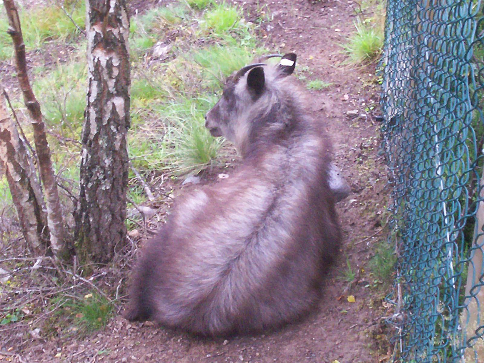 HWP visit 04/08/2011