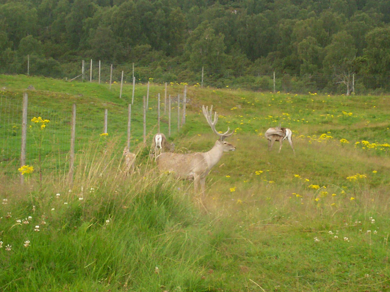 HWP visit 04/08/2011