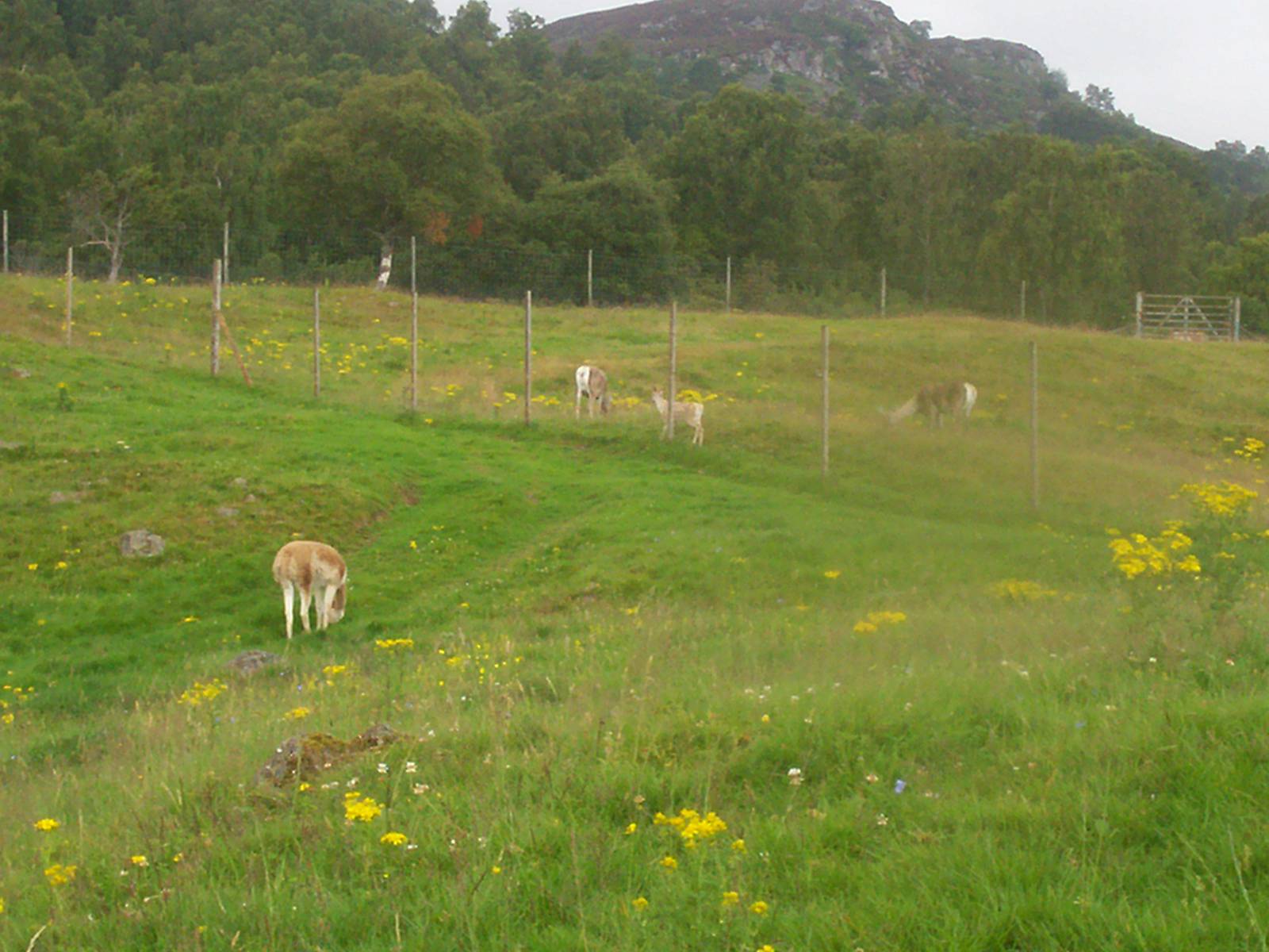 HWP visit 04/08/2011