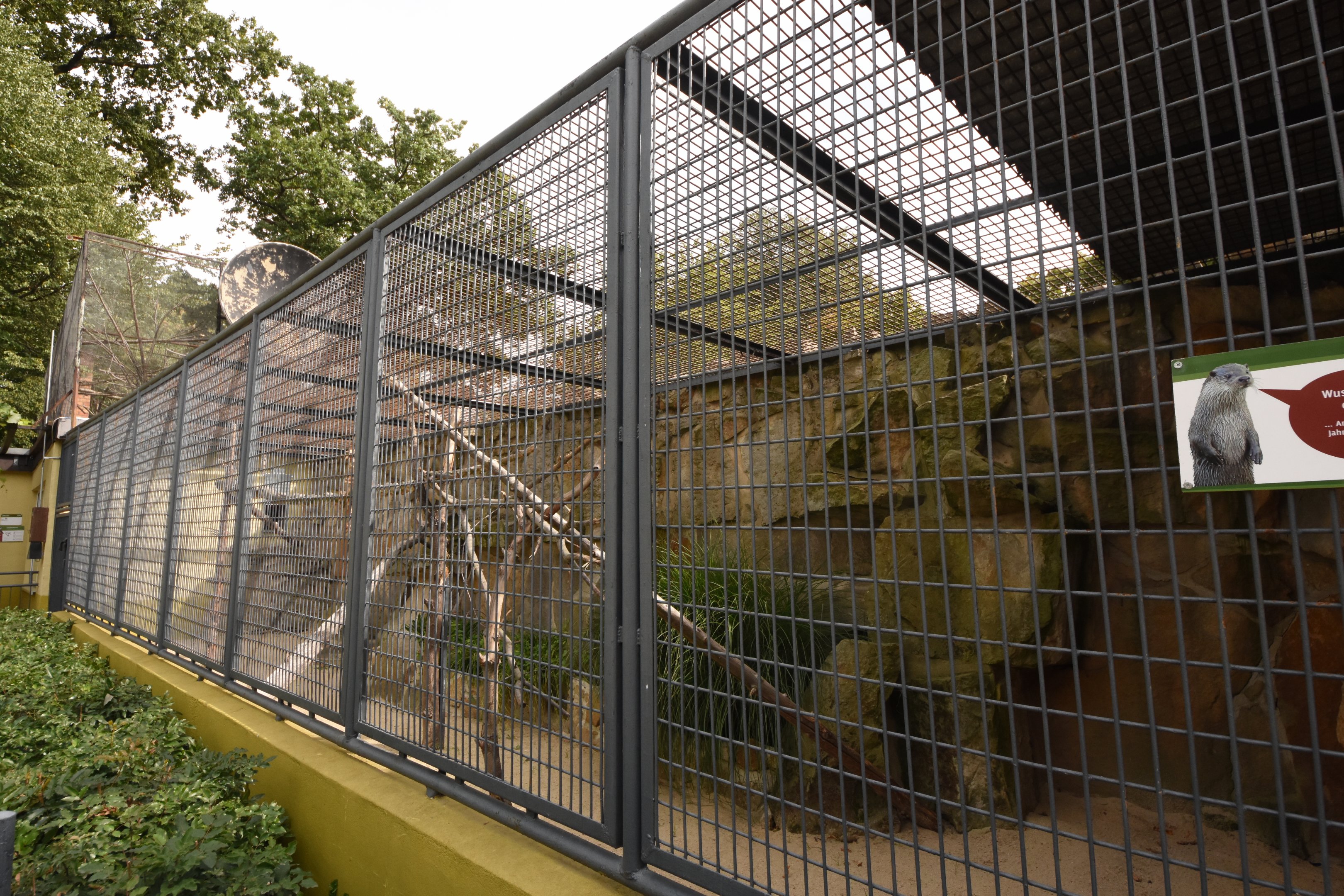 Hyacint macaw aviary