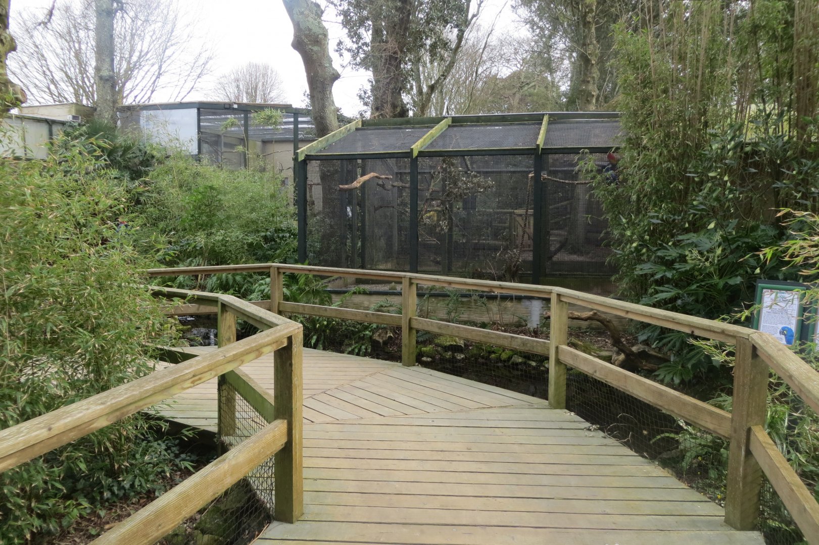 Hyacinth macaw aviary 190219