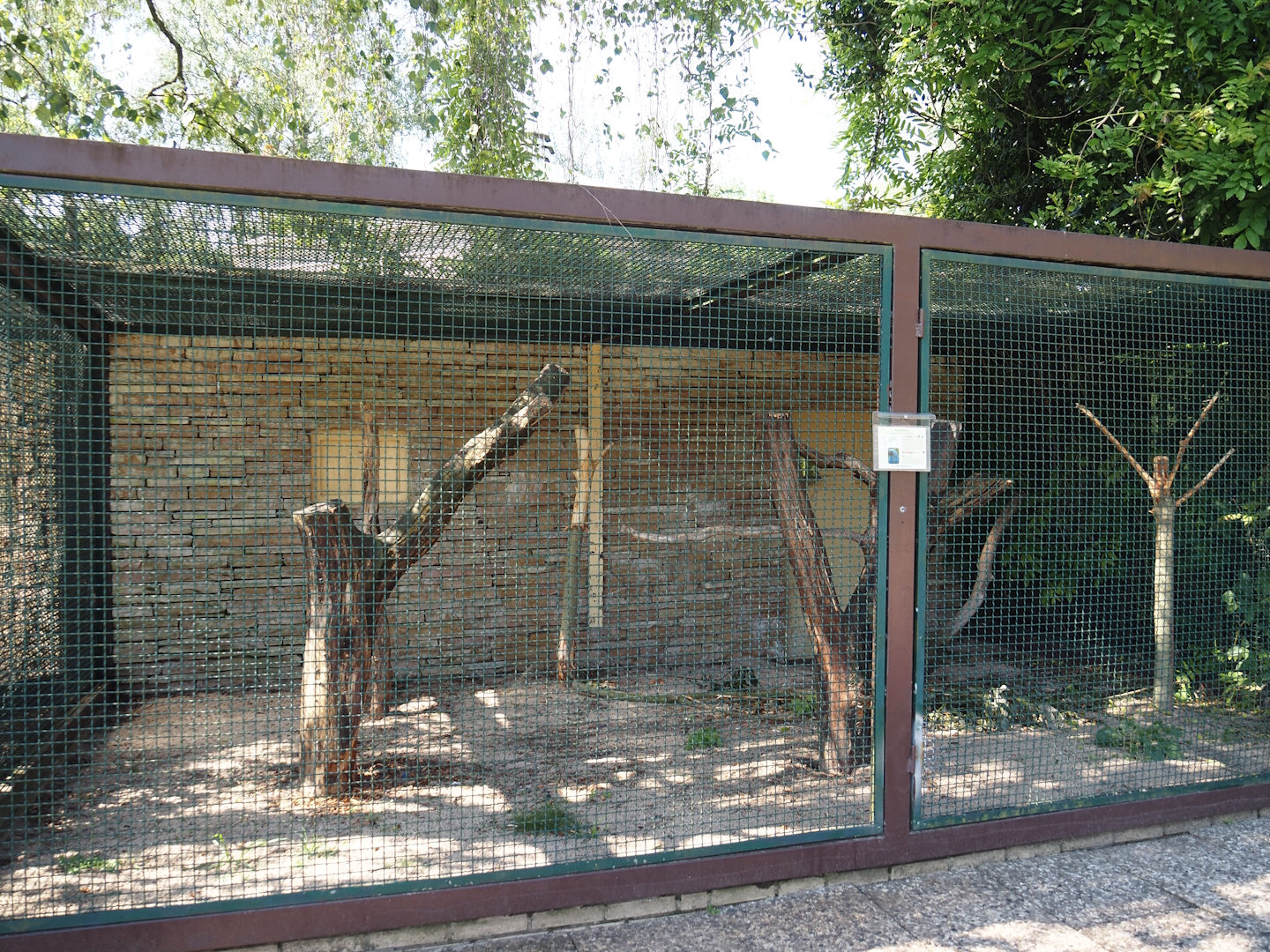 Hyacinth macaw aviary 2024-05-23