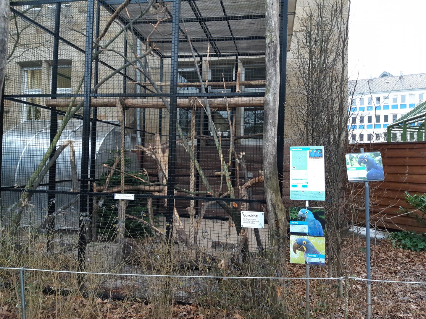 Hyacinth Macaw aviary (with direct access to the zoo director's office)