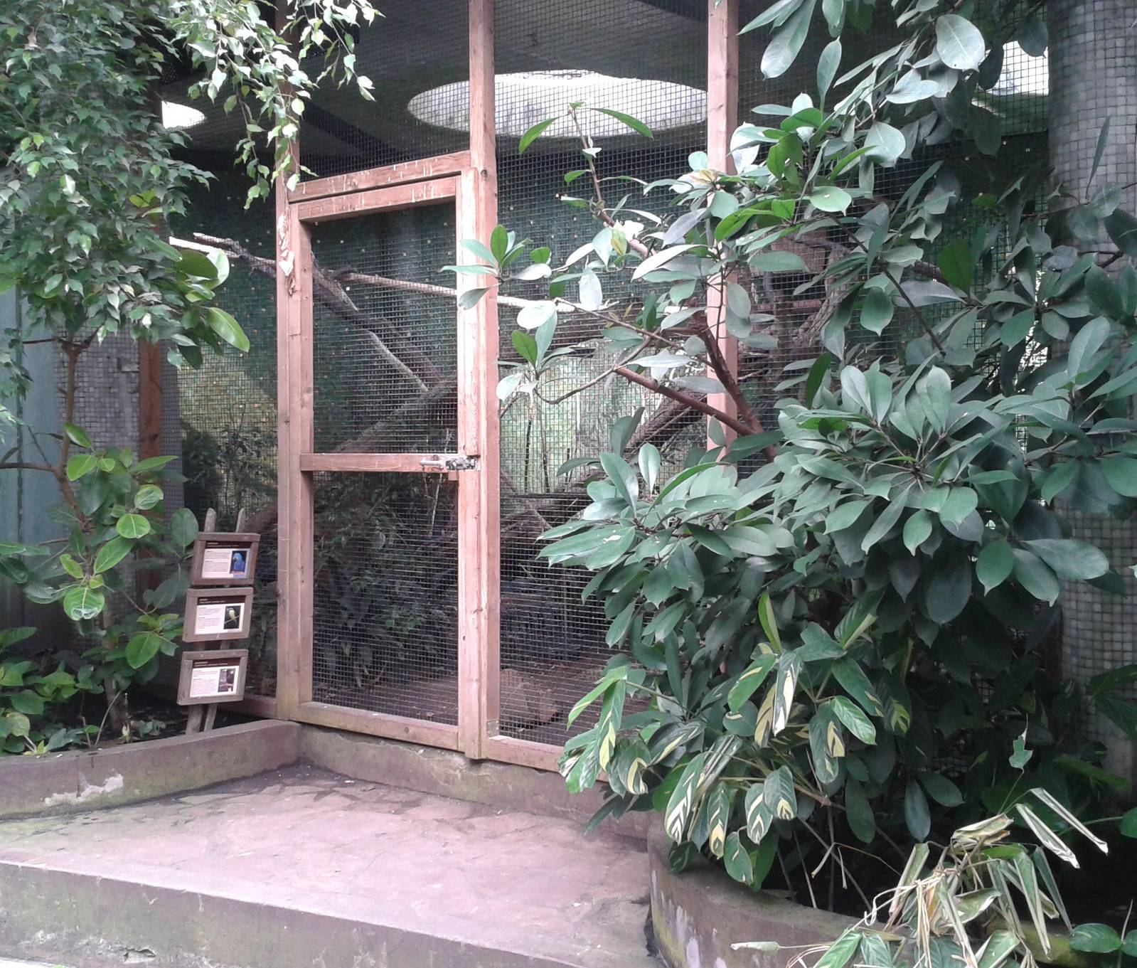 Hyacinth macaw aviary