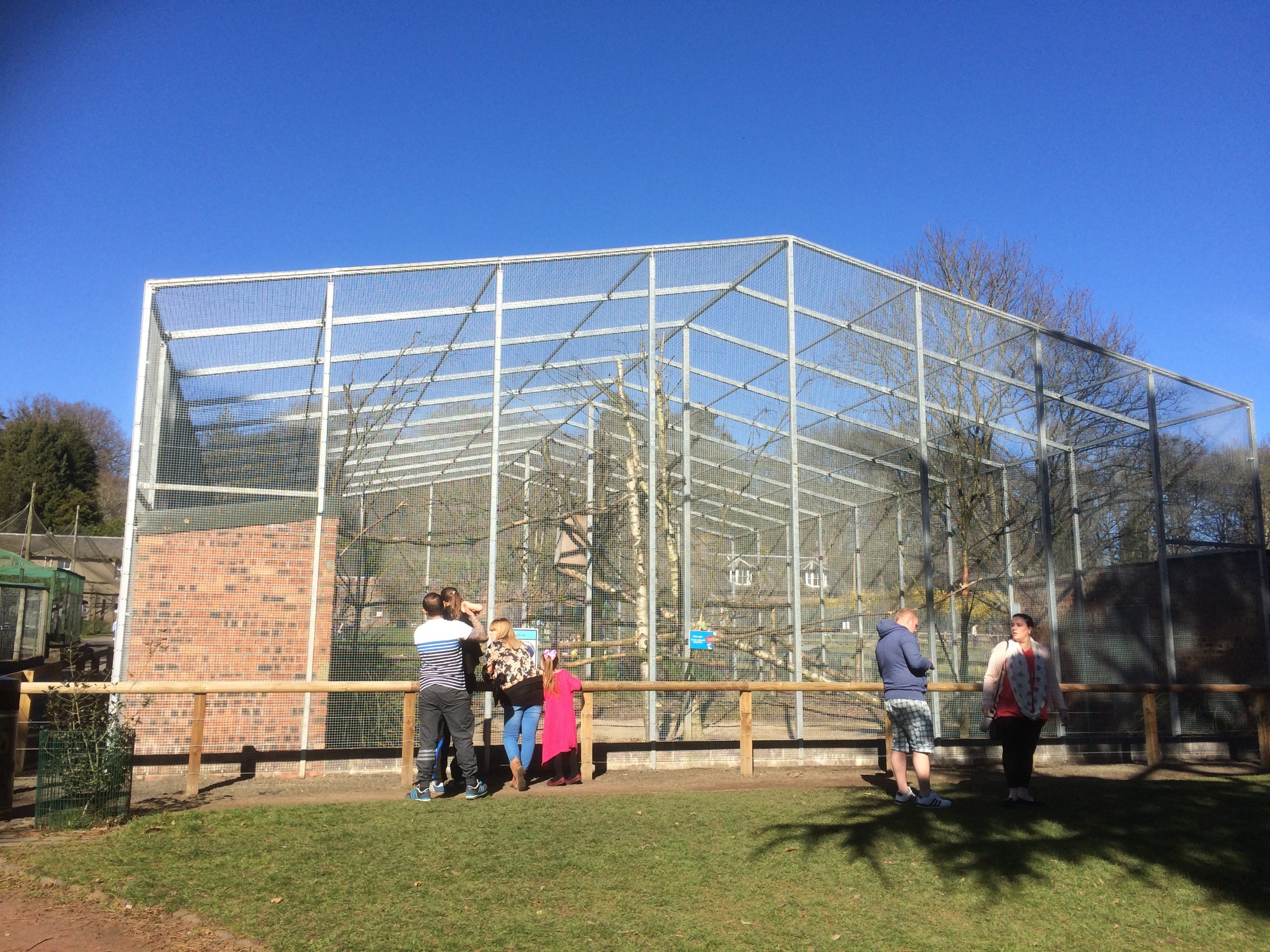 Hyacinth macaw aviary