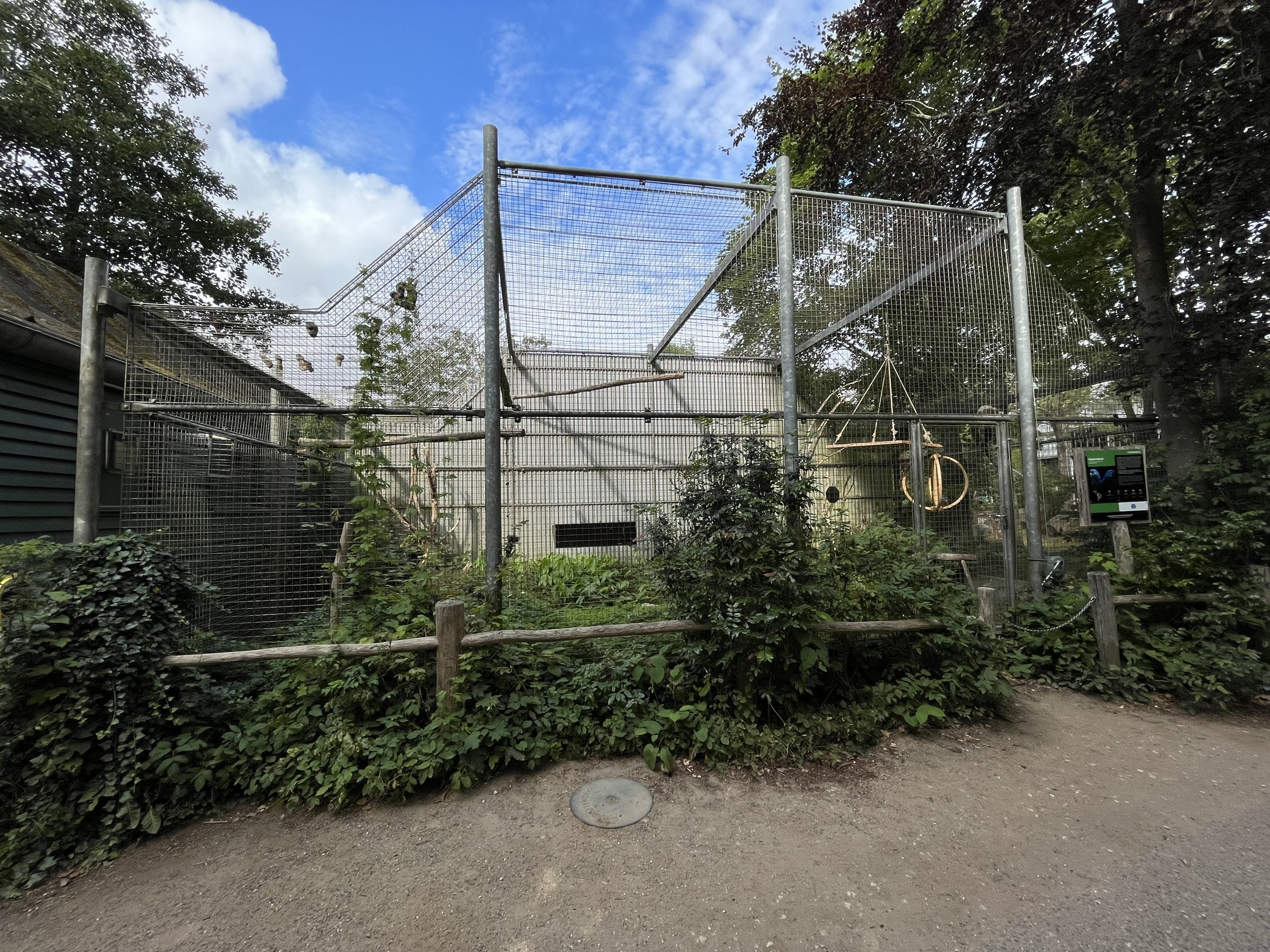 Hyacinth Macaw Aviary