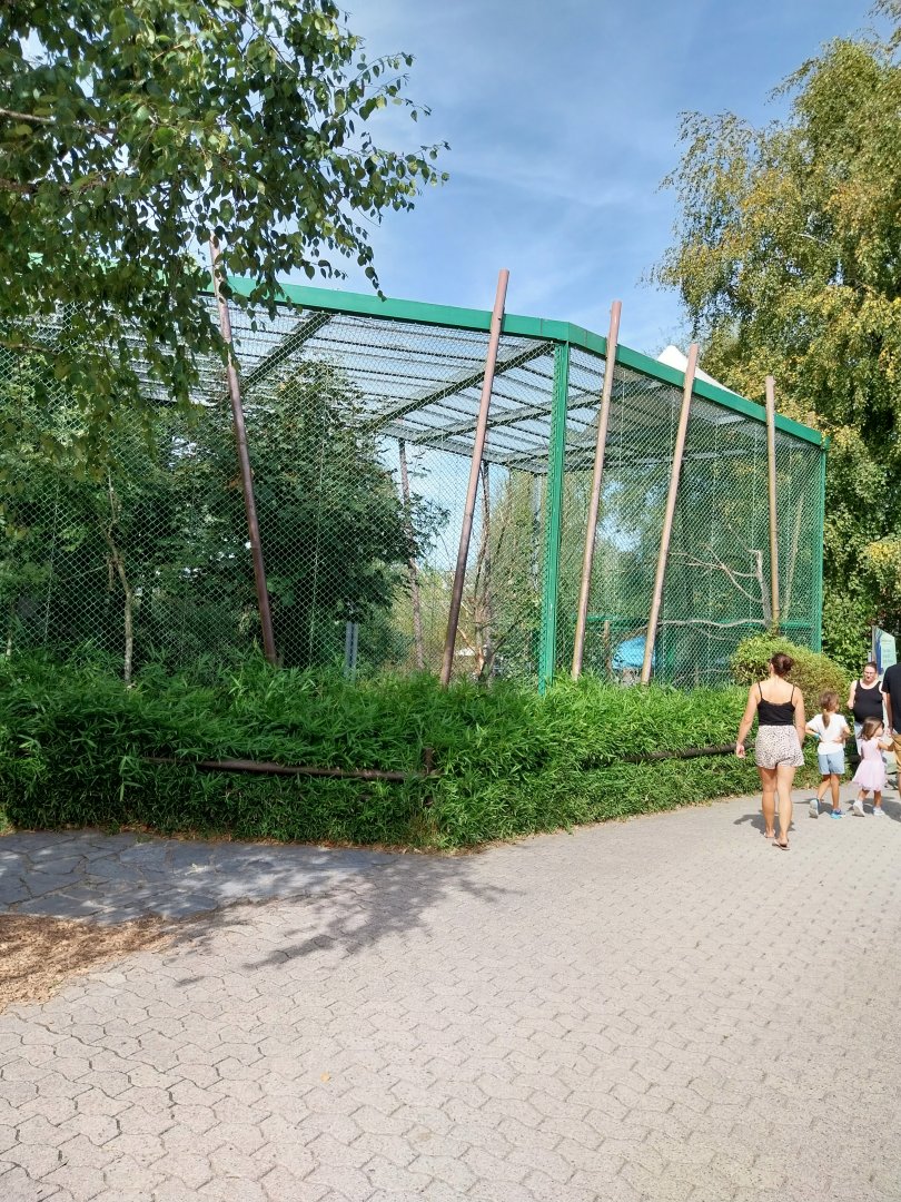 Hyacinth macaw aviary