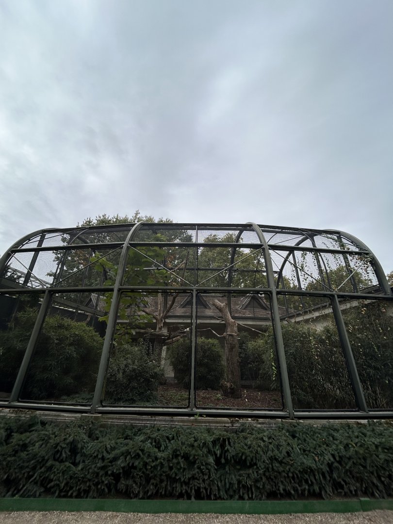 Hyacinth macaw aviary