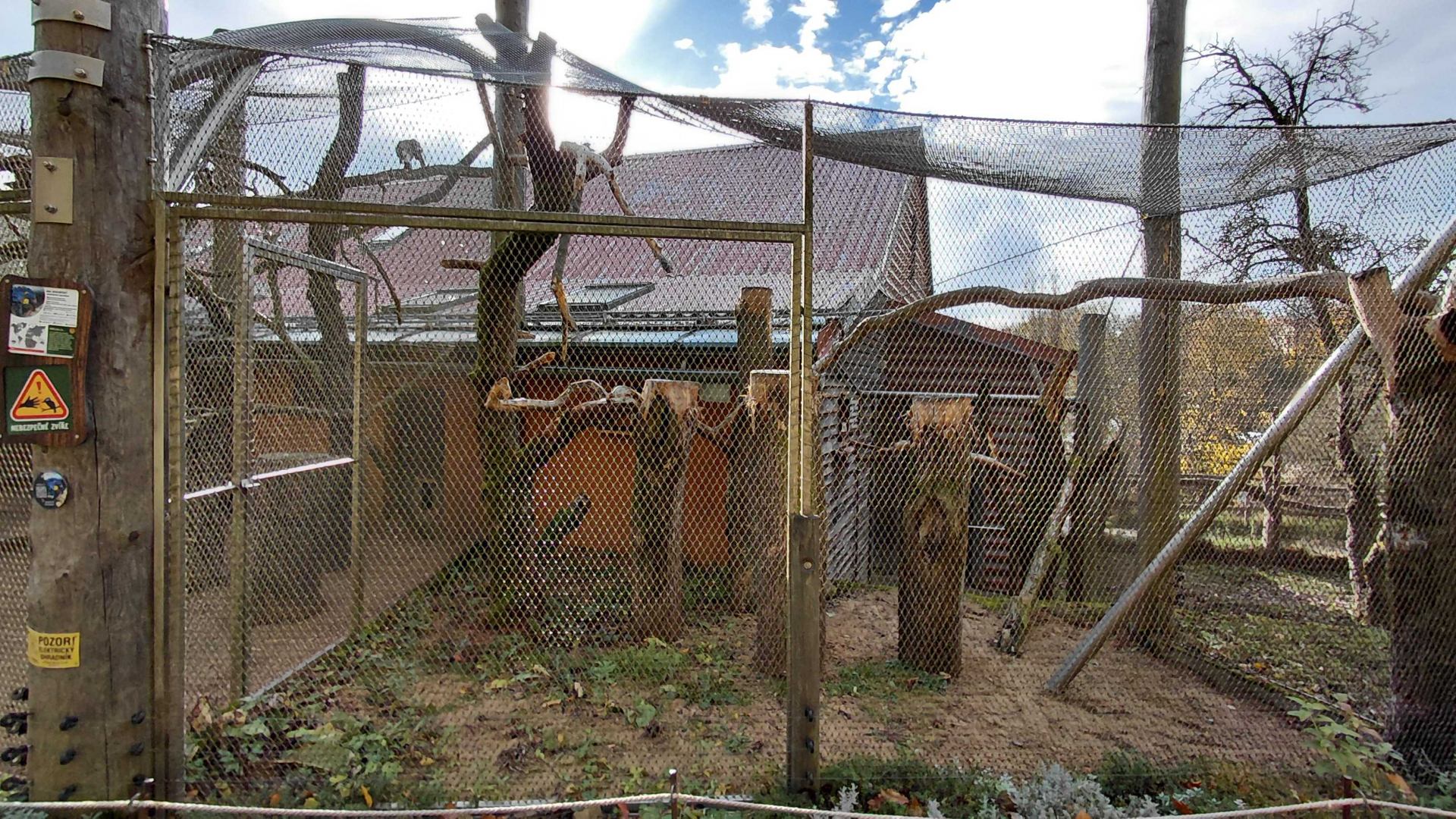 Hyacinth macaw aviary