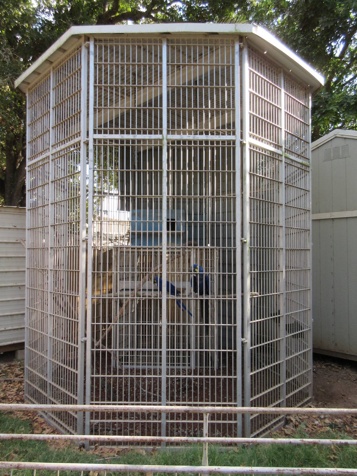 Hyacinth Macaw Cage