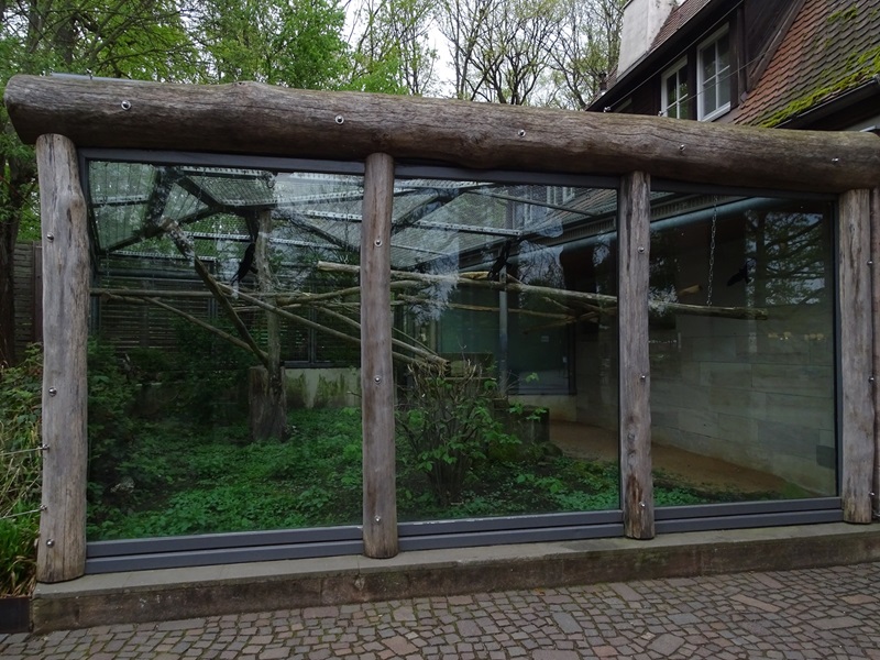 Hyacinth macaw enclosure