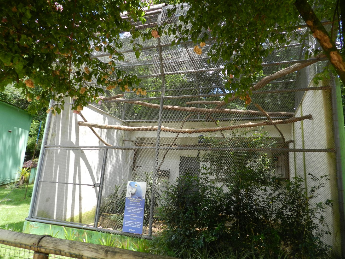 Hyacinth macaw exhibit - Belo Horizonte zoo