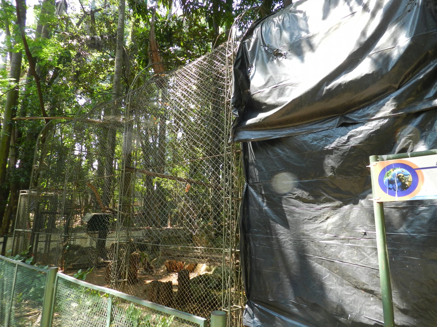 Hyacinth macaw exhibit - Campinas zoo (BDJ)