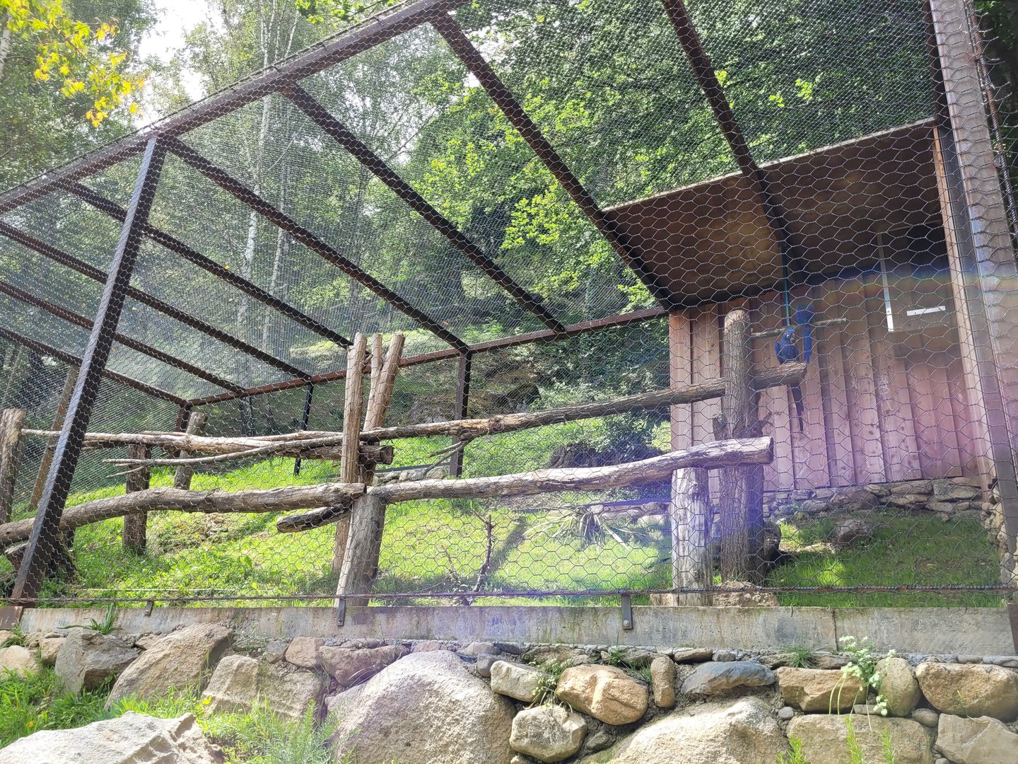 Hyacinth macaw exhibit -Parc Animalier des Pyrénées (2023)