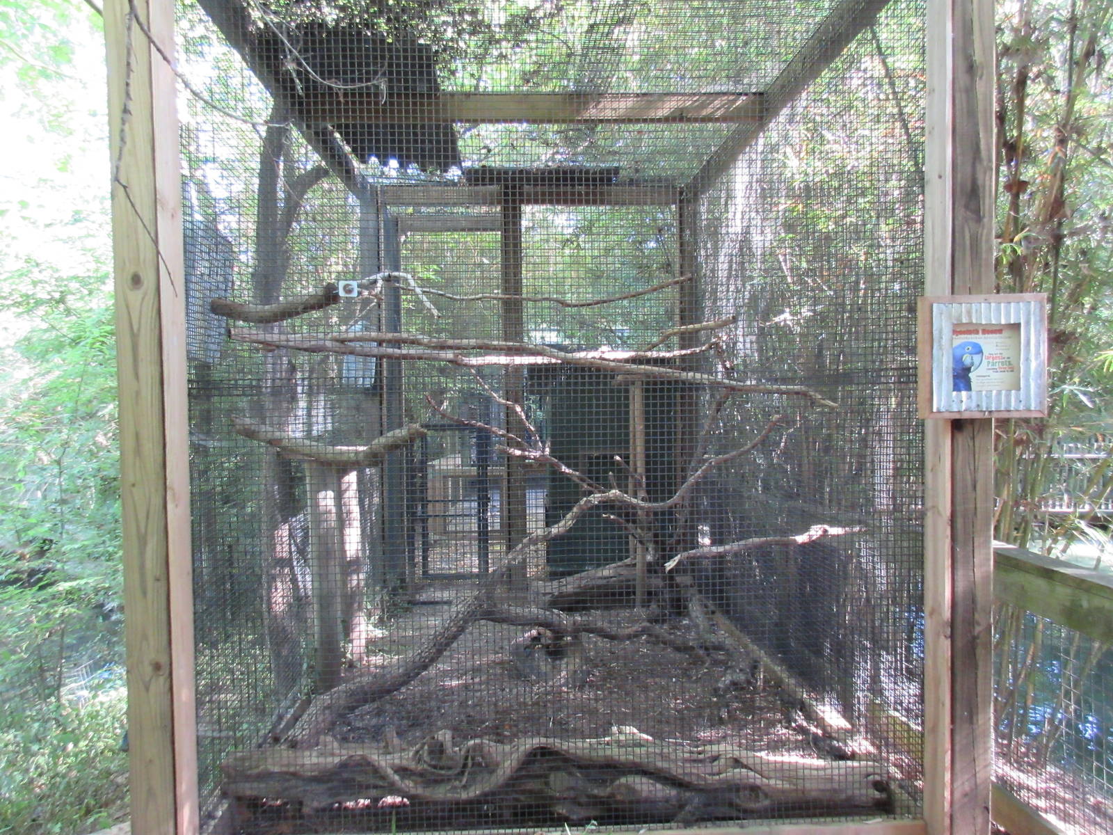 Hyacinth Macaw Exhibit