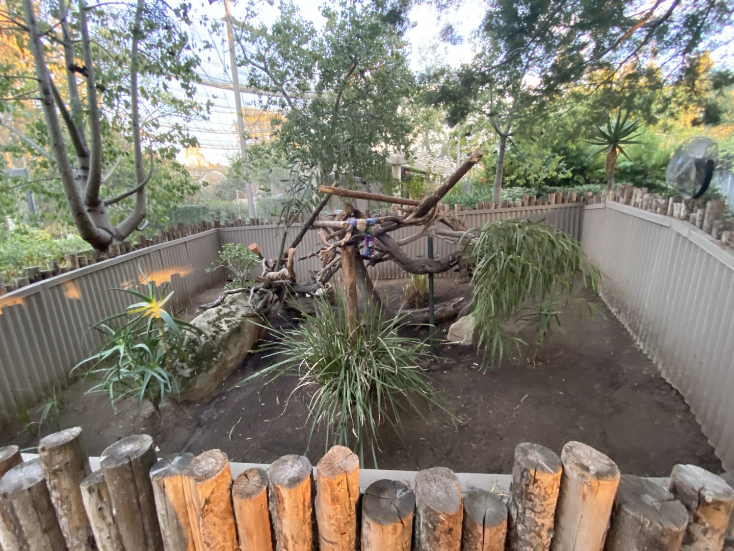 Hyacinth Macaw Habitat