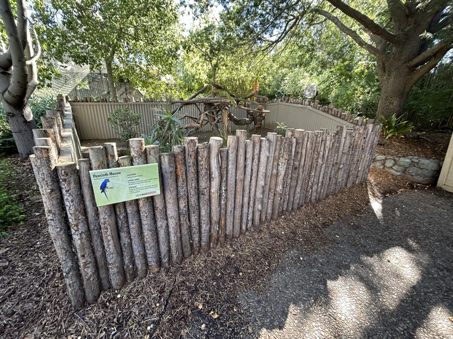 Hyacinth Macaw Perches