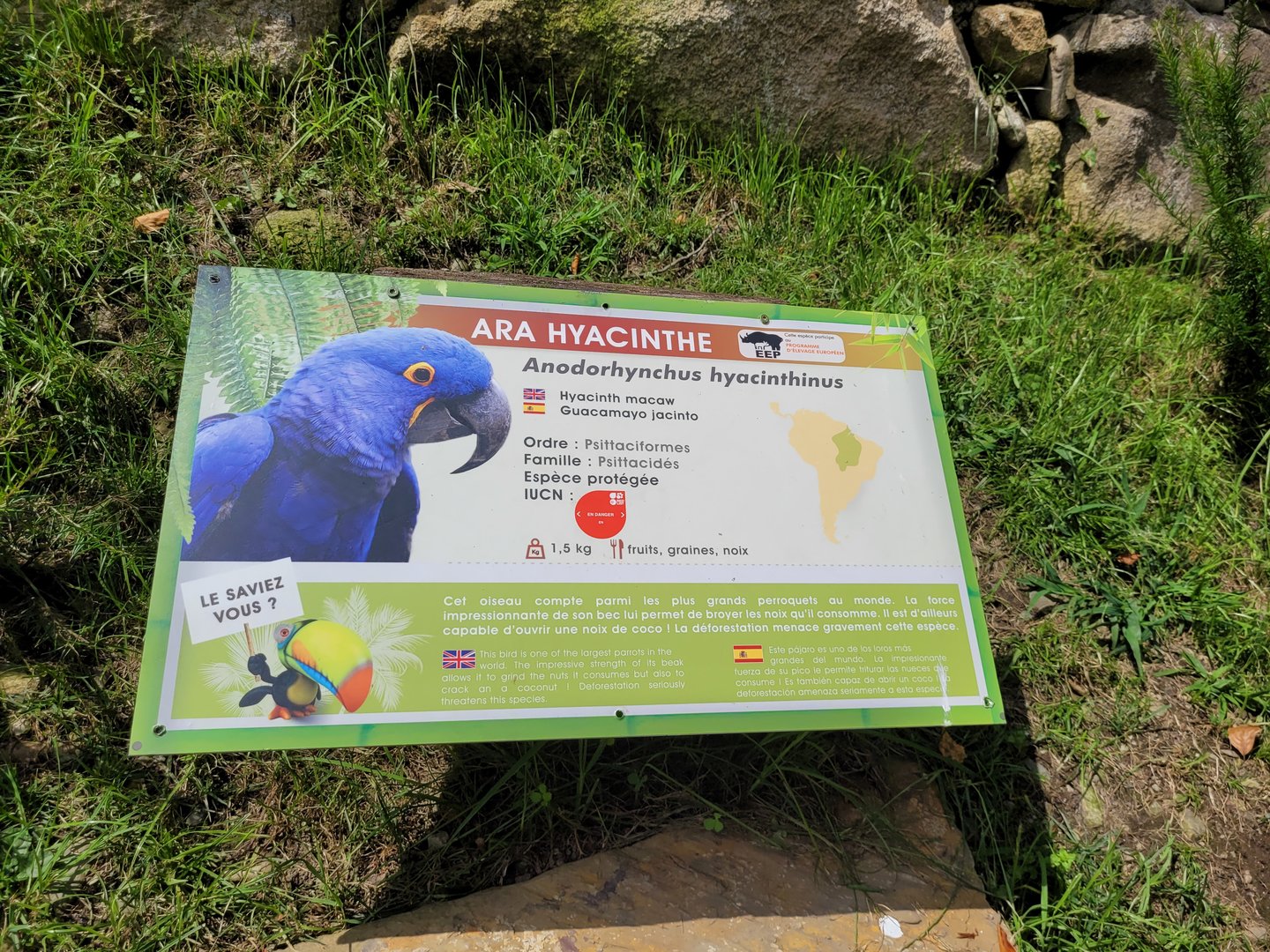 Hyacinth macaw sign -Parc Animalier des Pyrénées (2023)