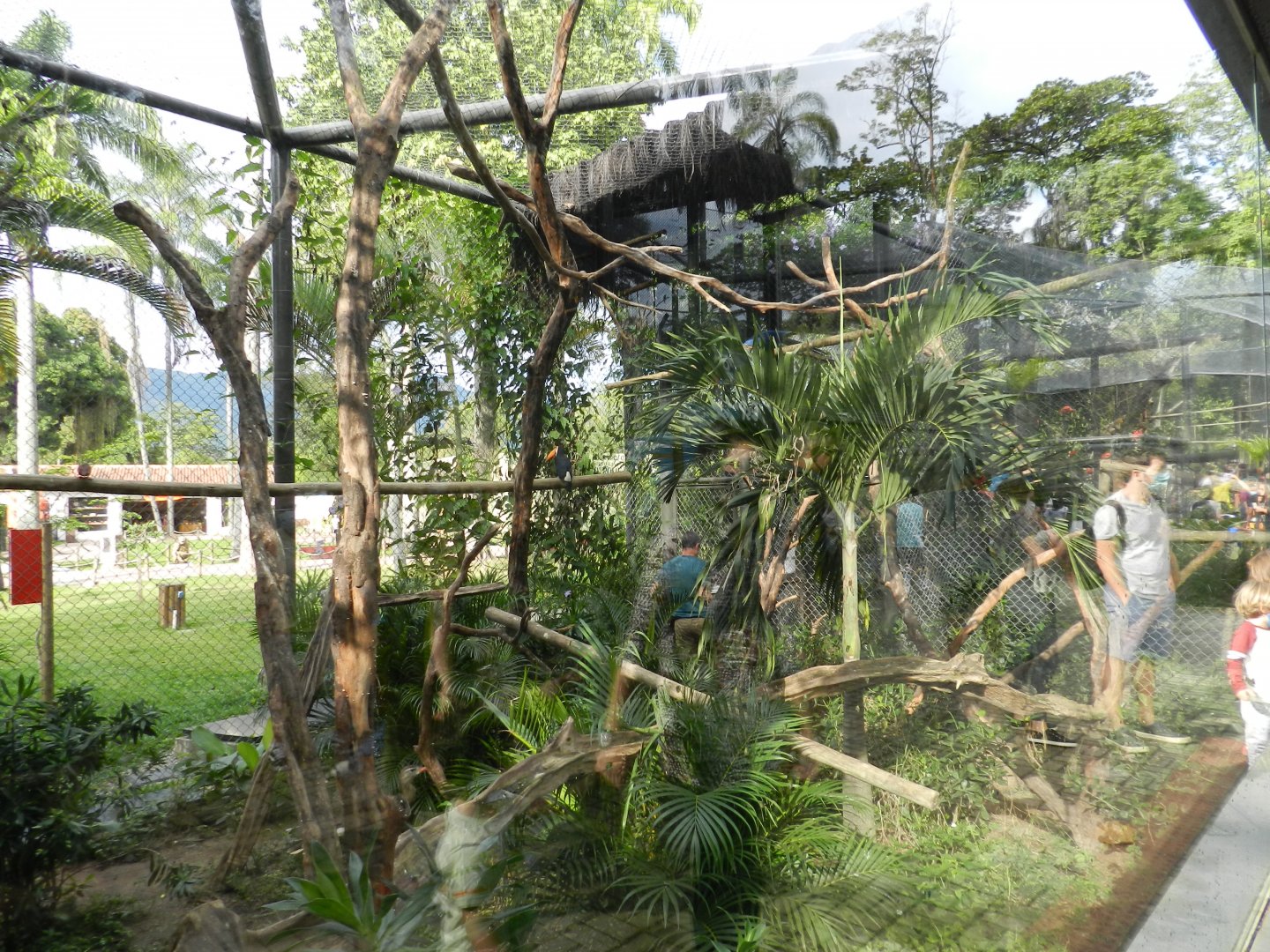 Hyacinth macaw/toco toucan exhibit - BioParque do Rio
