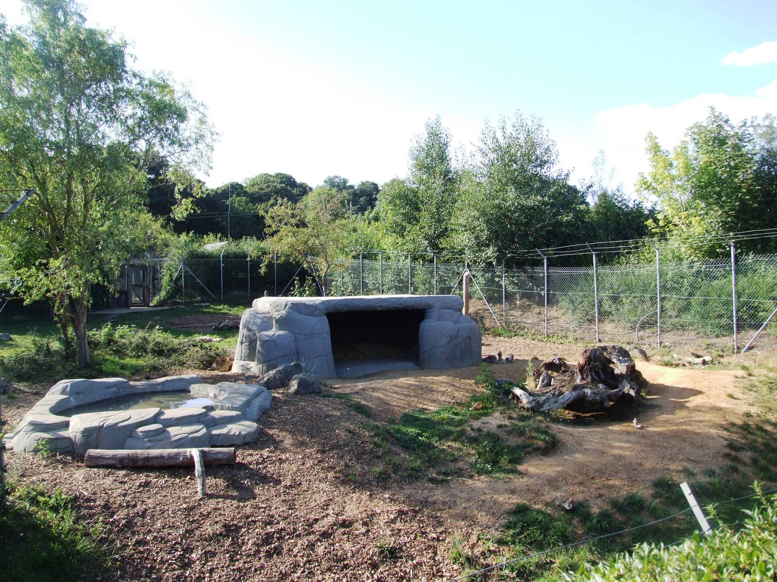 Hyaena Enclosure at Colchester, 31/08/13