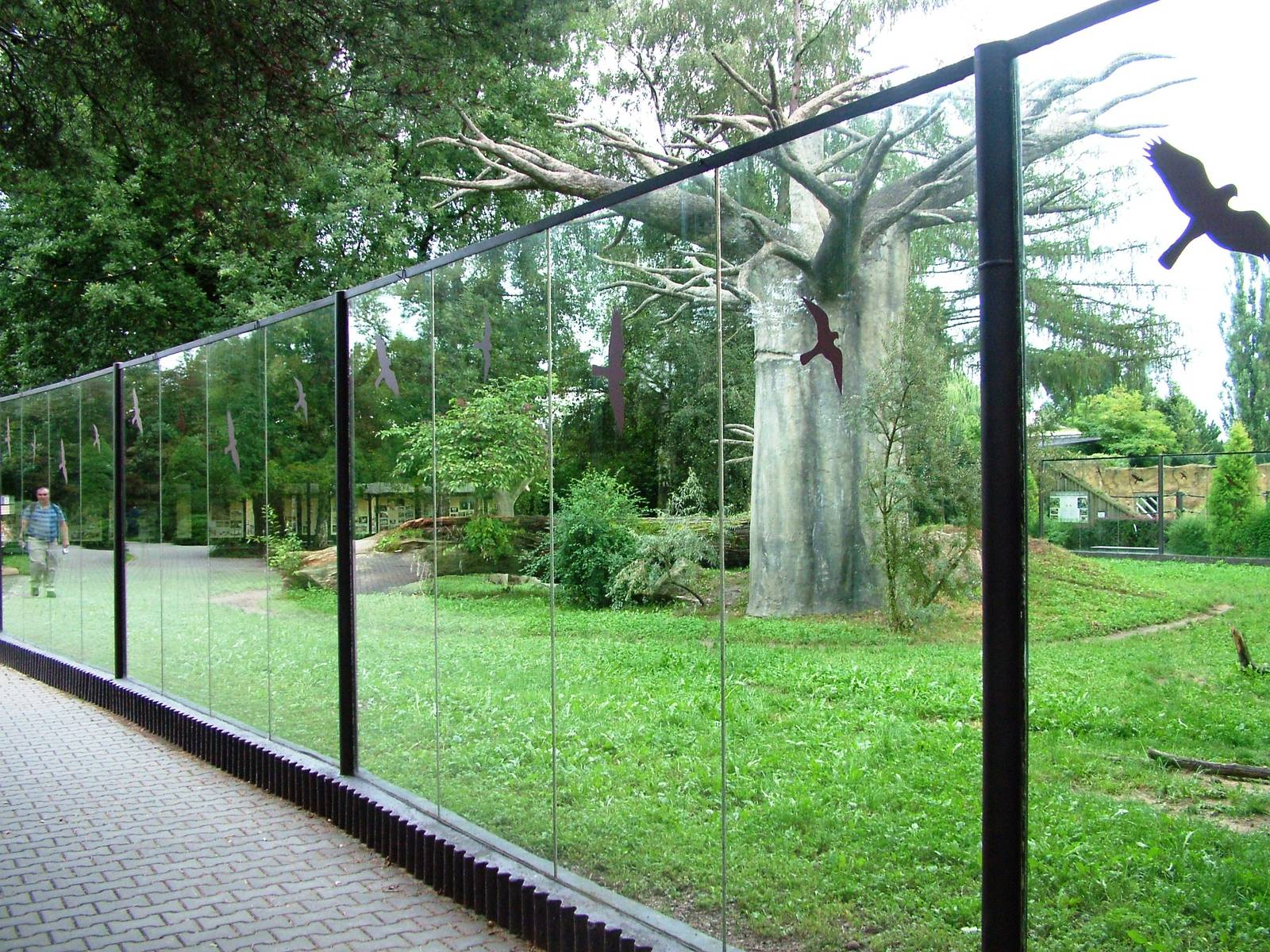 Hyaena Enclosure at Dvur Kralove, 26/08/12