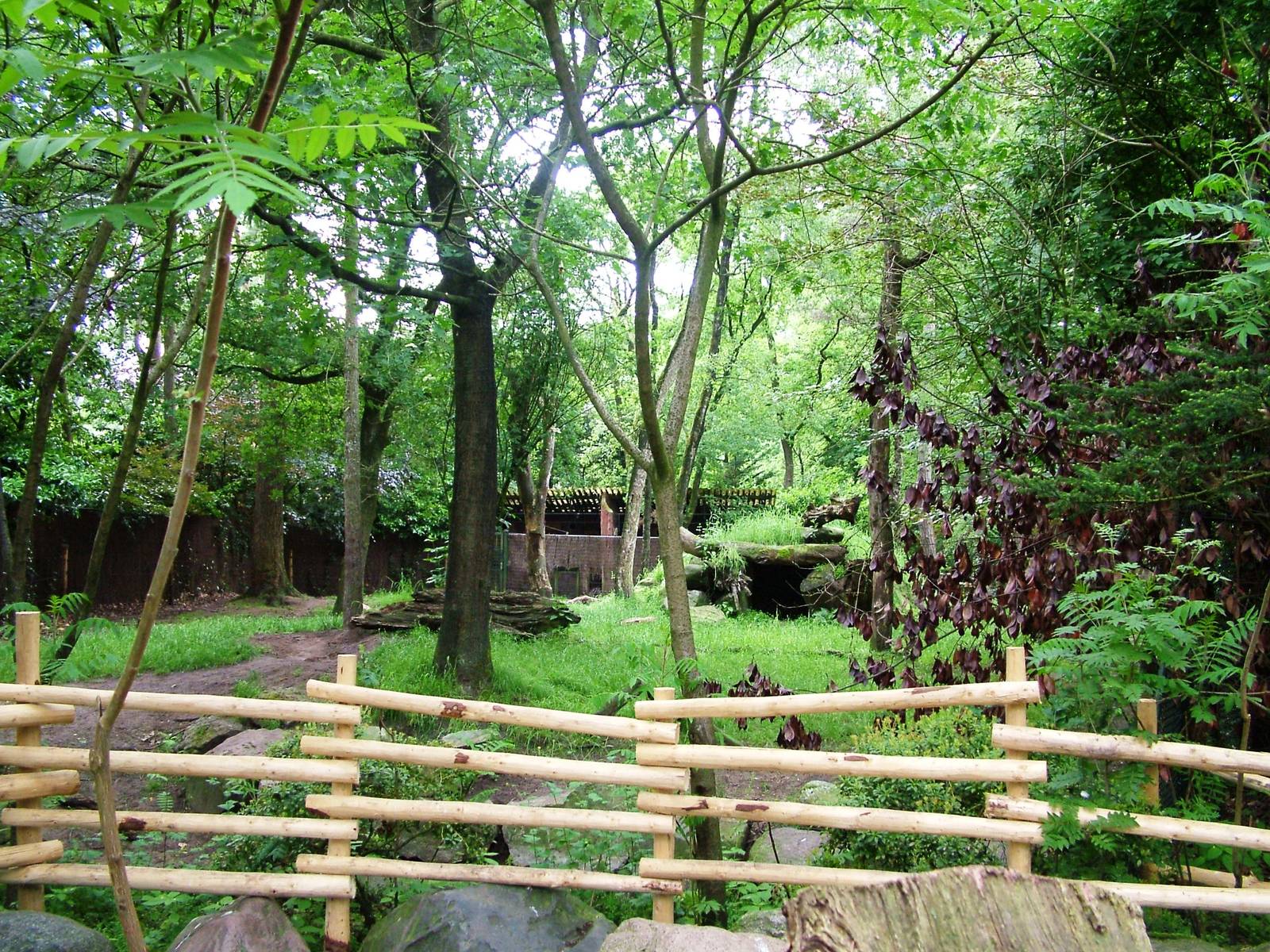 Hyaena Paddock at Amersfoort, 01/06/12