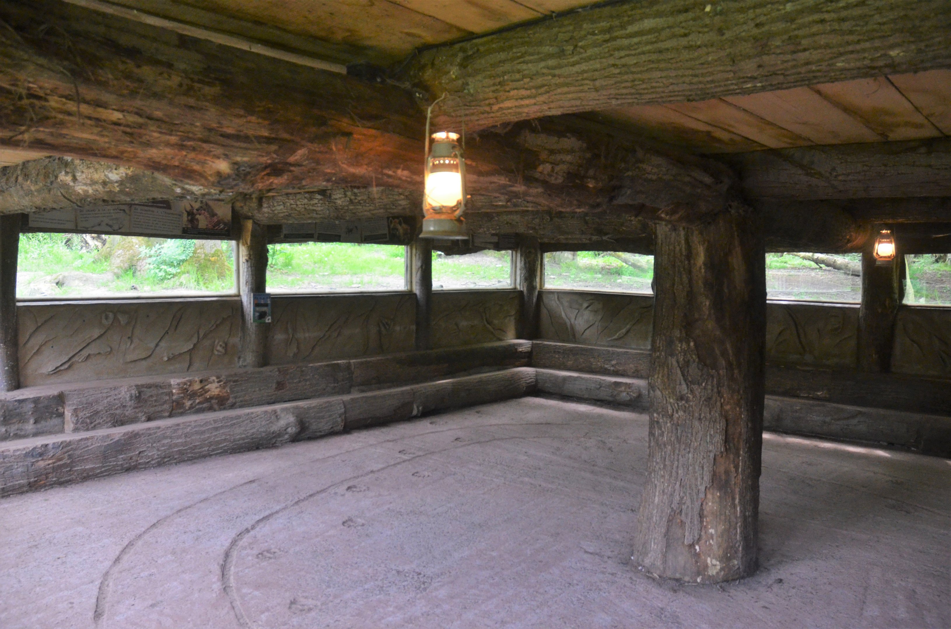 Hyaena Viewing at CERZA, 10/06/18