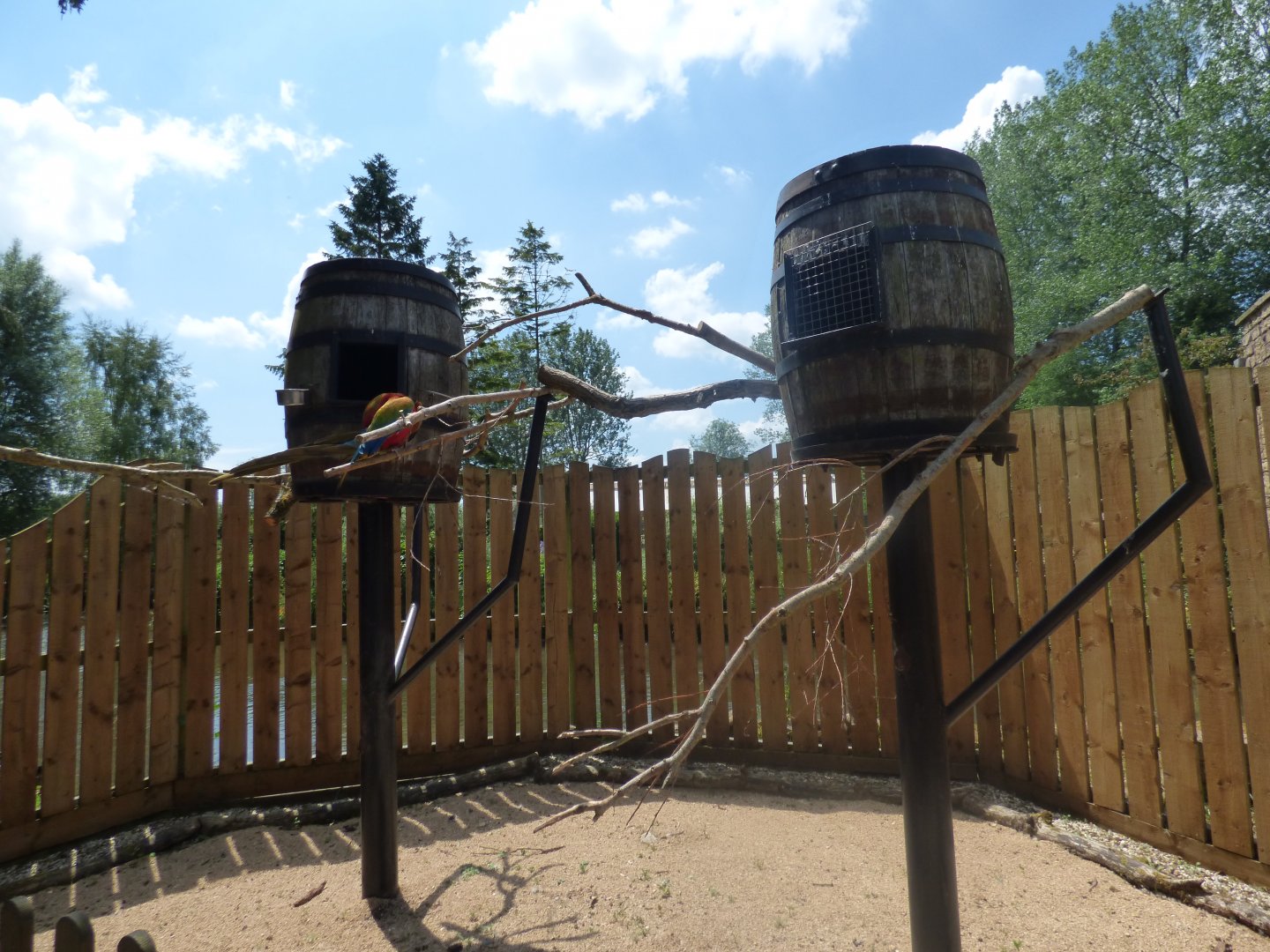 Hybrid Macaw Enclosure